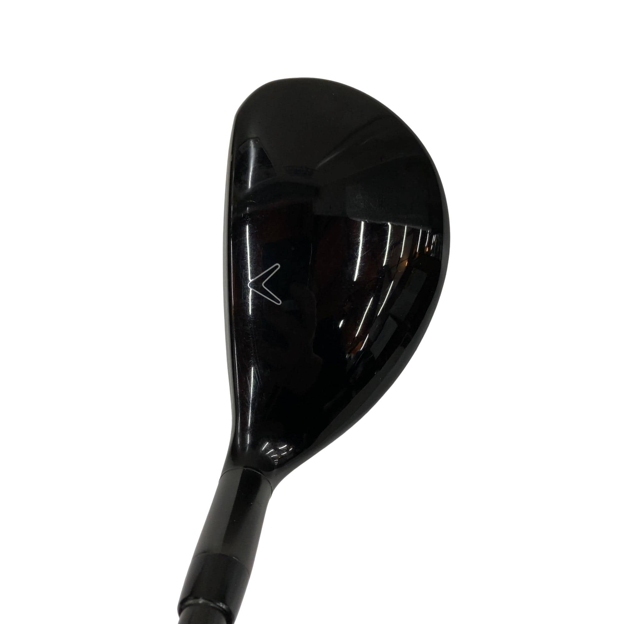 �w�Q�@�g�n�s�@�t�R