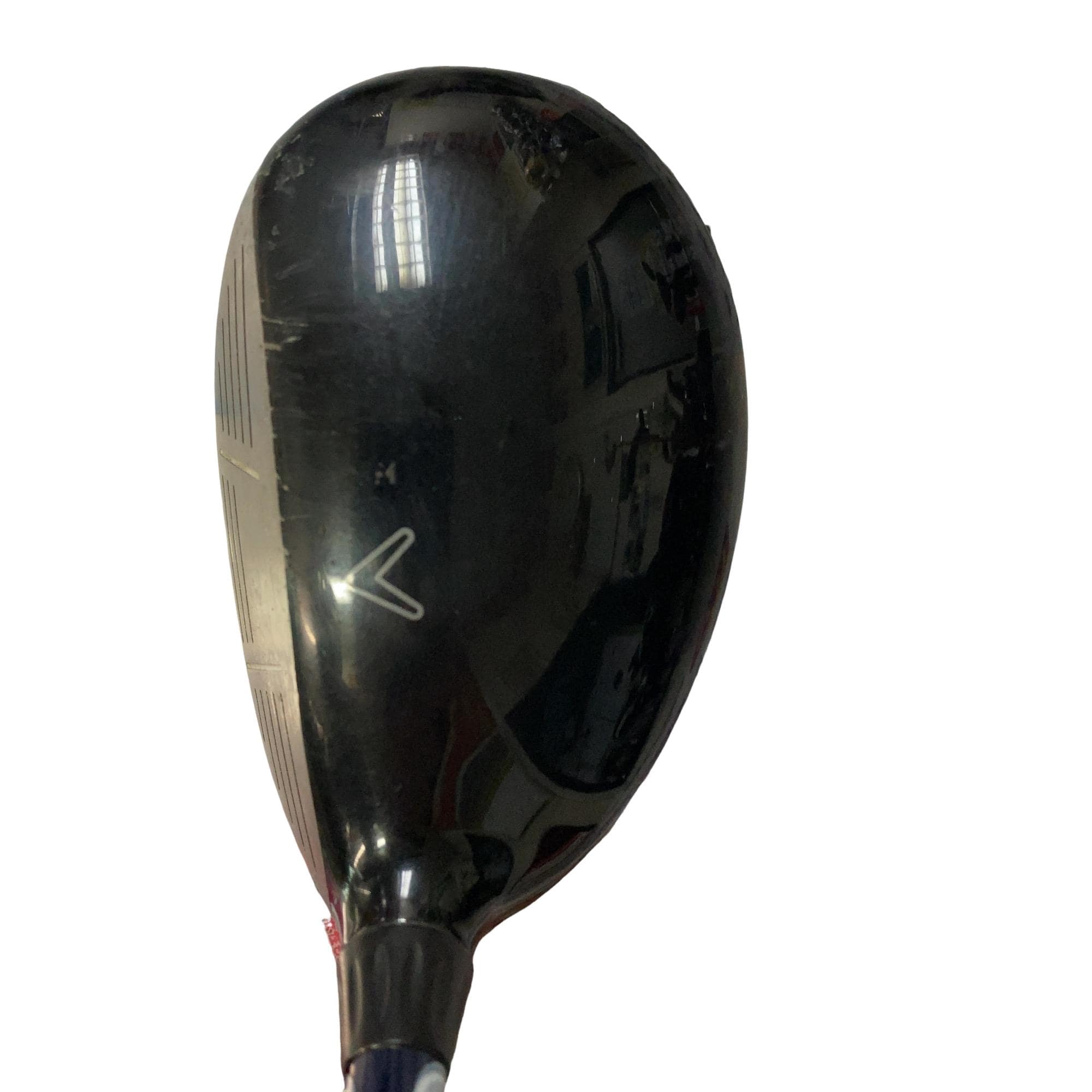 �w�@�c�q�r�@���[�e�B���e�B�@�T�g�i�Q�V°�j