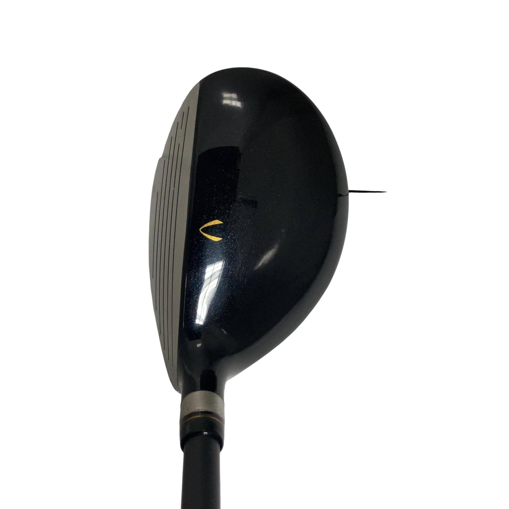 �j�Q�j�@���������O�X���[�e�B���e�B�@�t�T