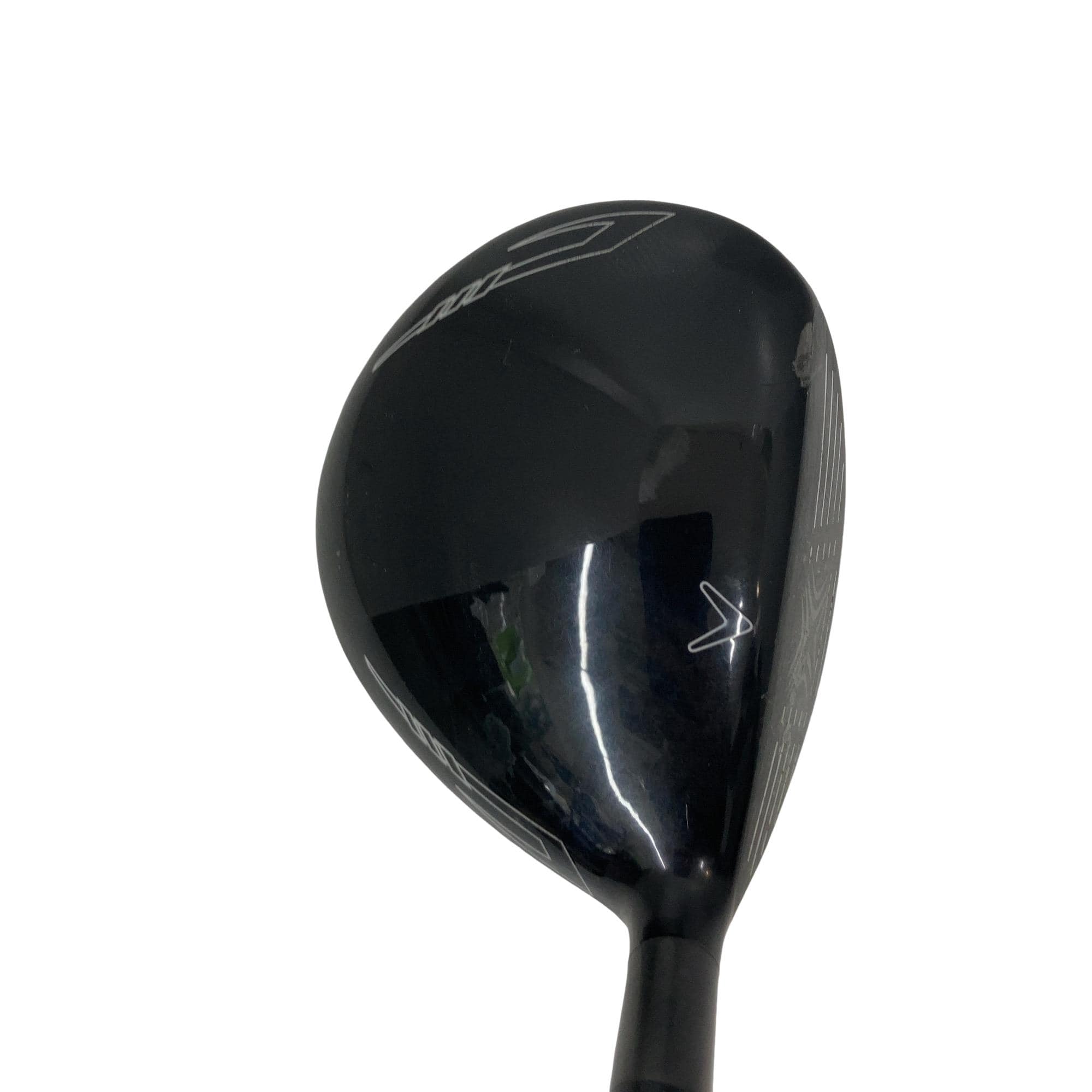 �w�Q�@�g�n�s�@�@�T�v�@���t�e�B