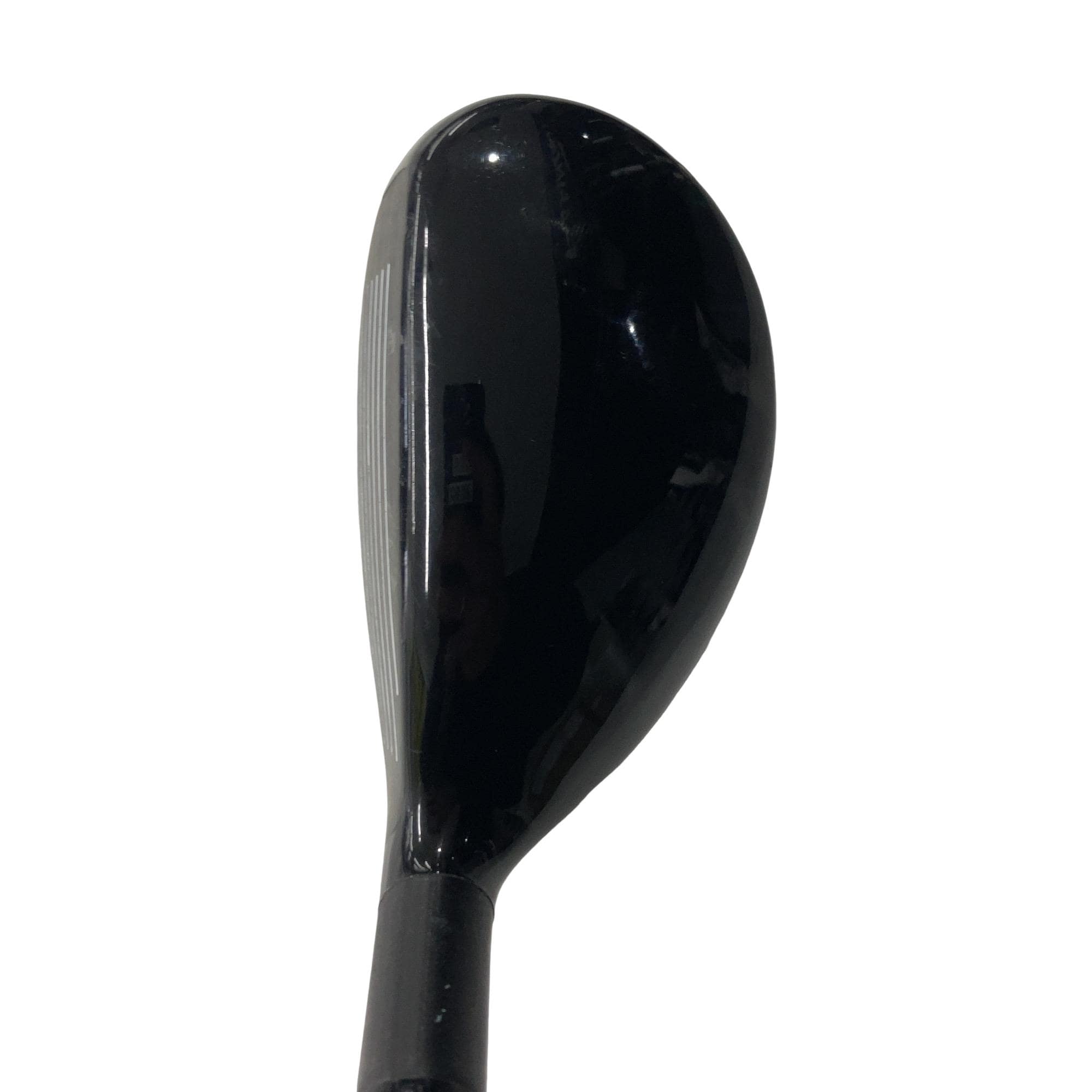 �w�Q�@�g�n�s�@�o�q�n�@�P�W°