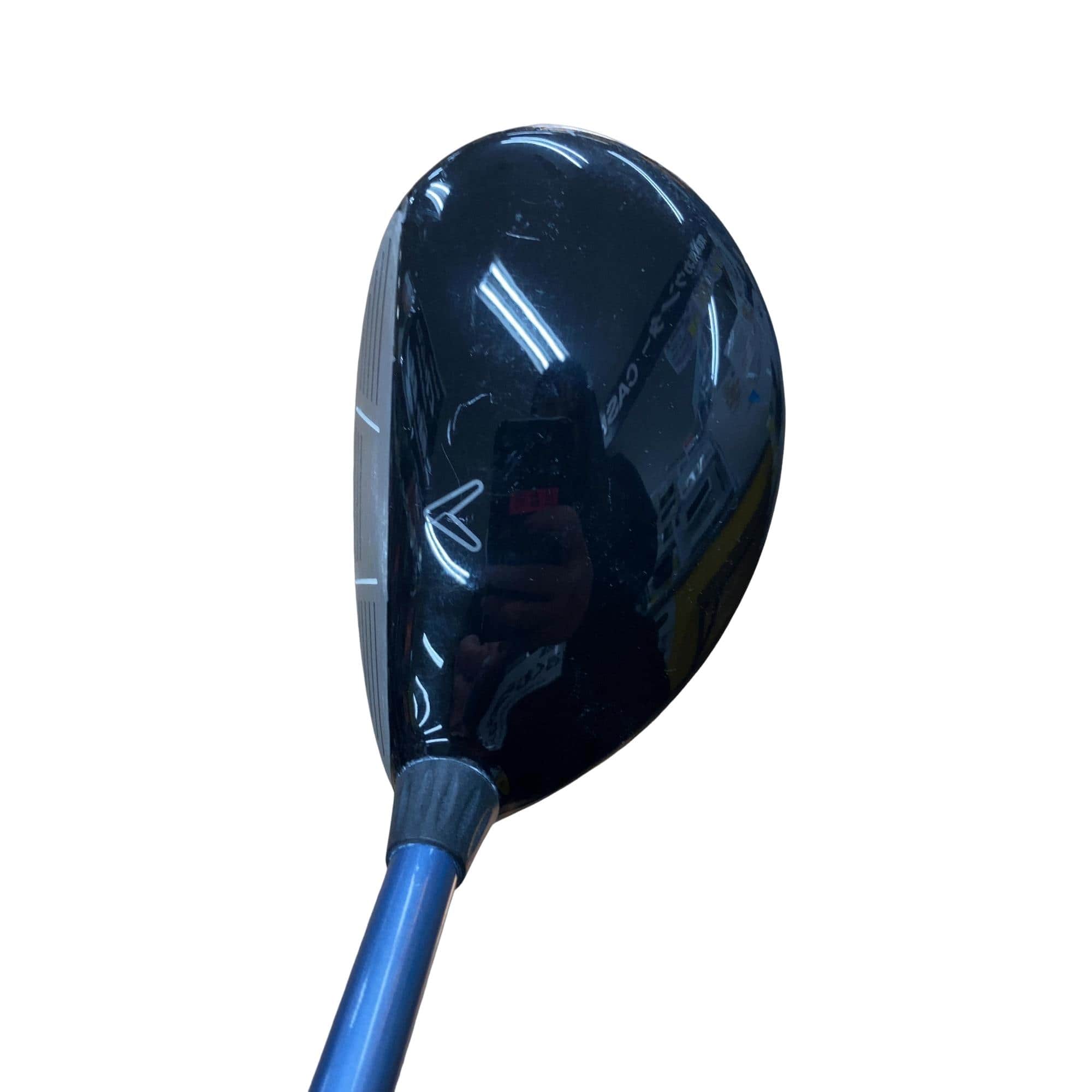 �w�@���[�e�B���e�B�@�T�g�i�Q�V°�j�@���f�B�[�X