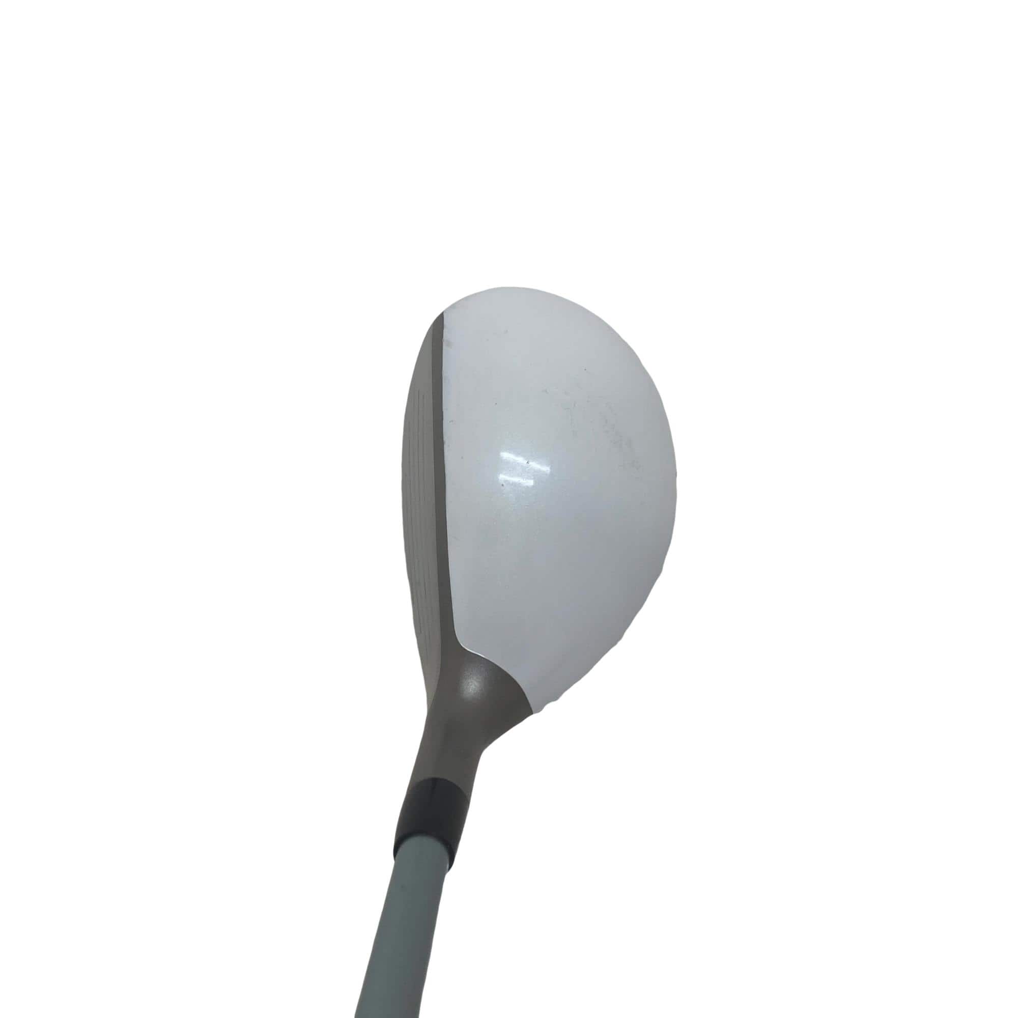 �a�q�|�w�@�t�T�@���f�B�[�X