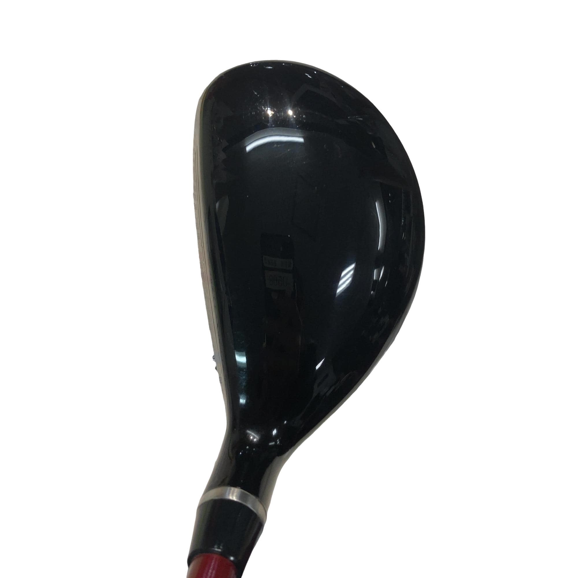 �q�l�w�@�u�c�@�t�T