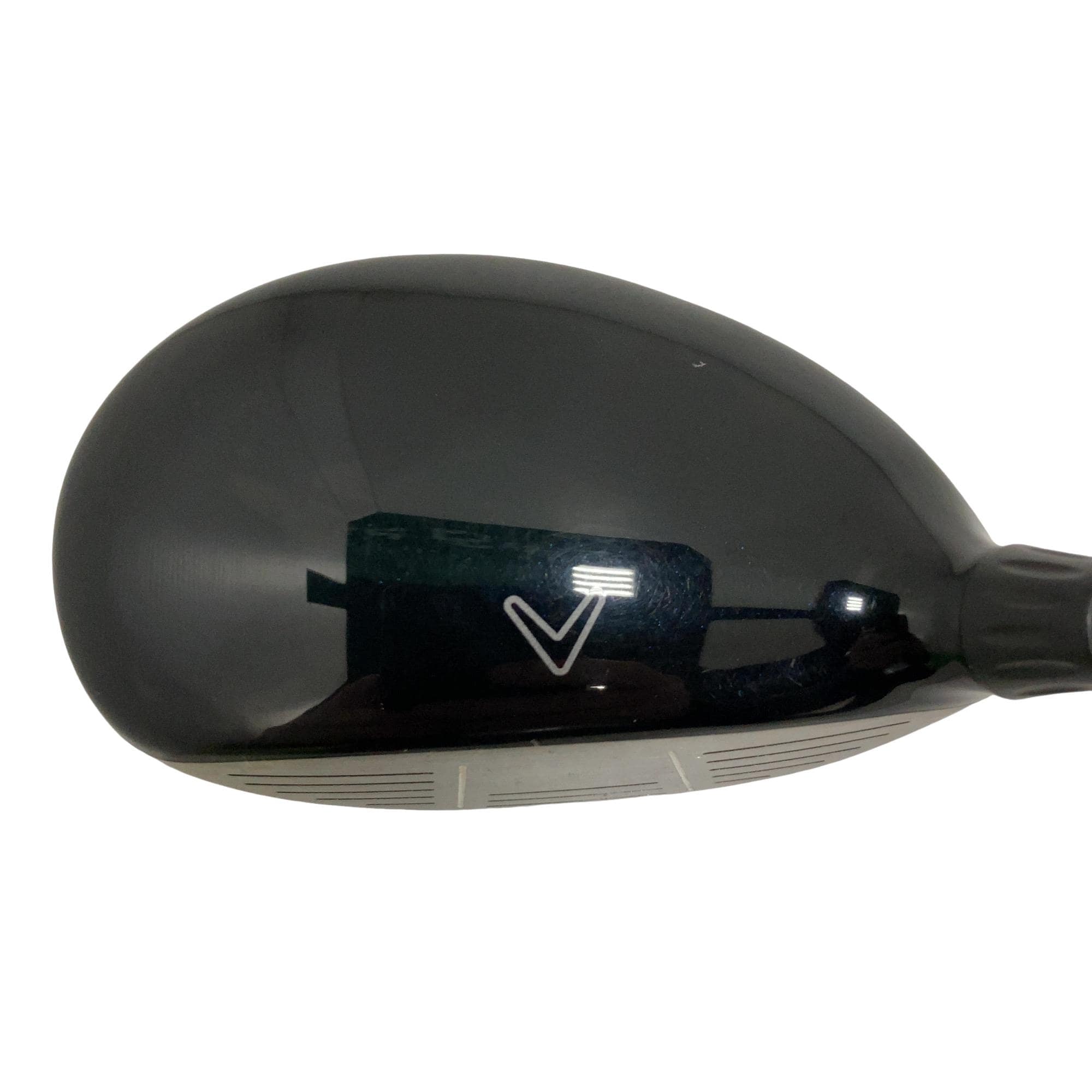 �w�@�c�q�r�@���[�e�B���e�B�@�S�g�i�Q�S°�j