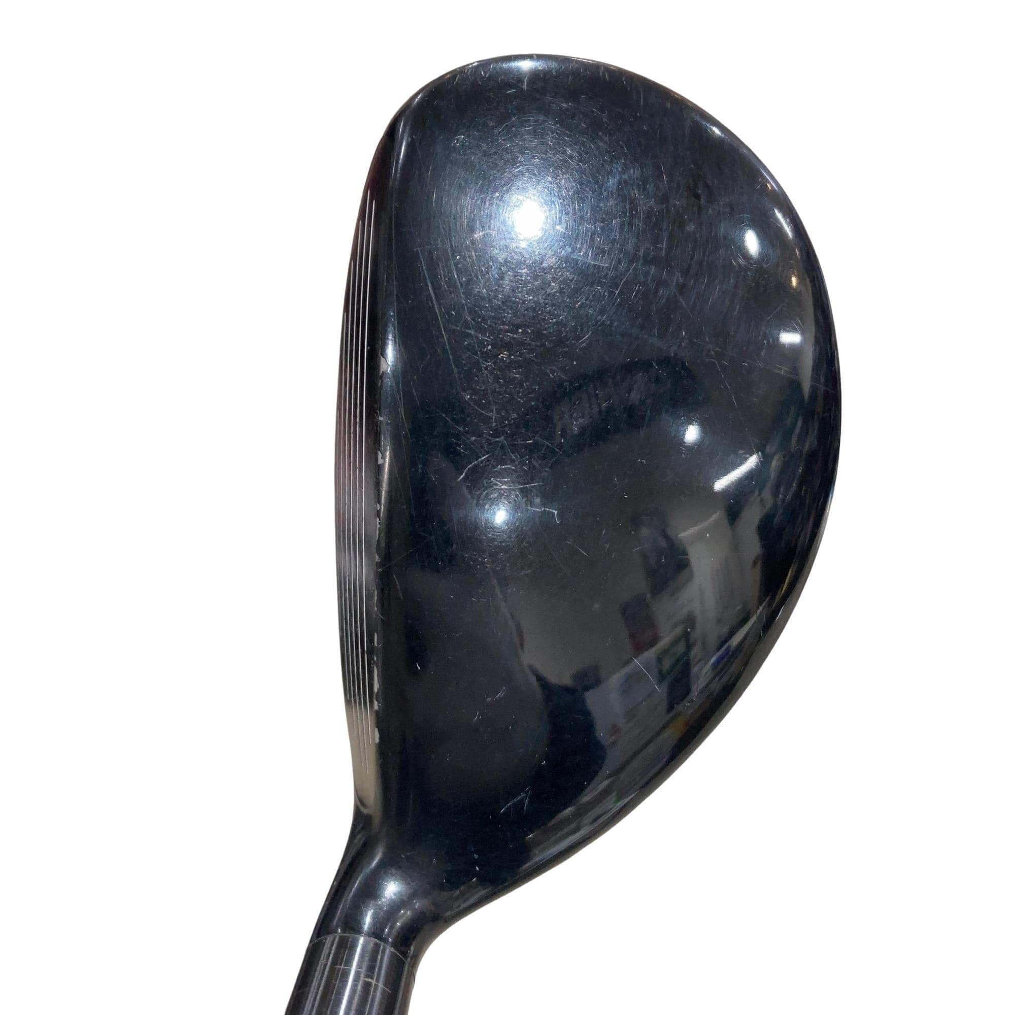 �w�@�g�n�s�@�t�T