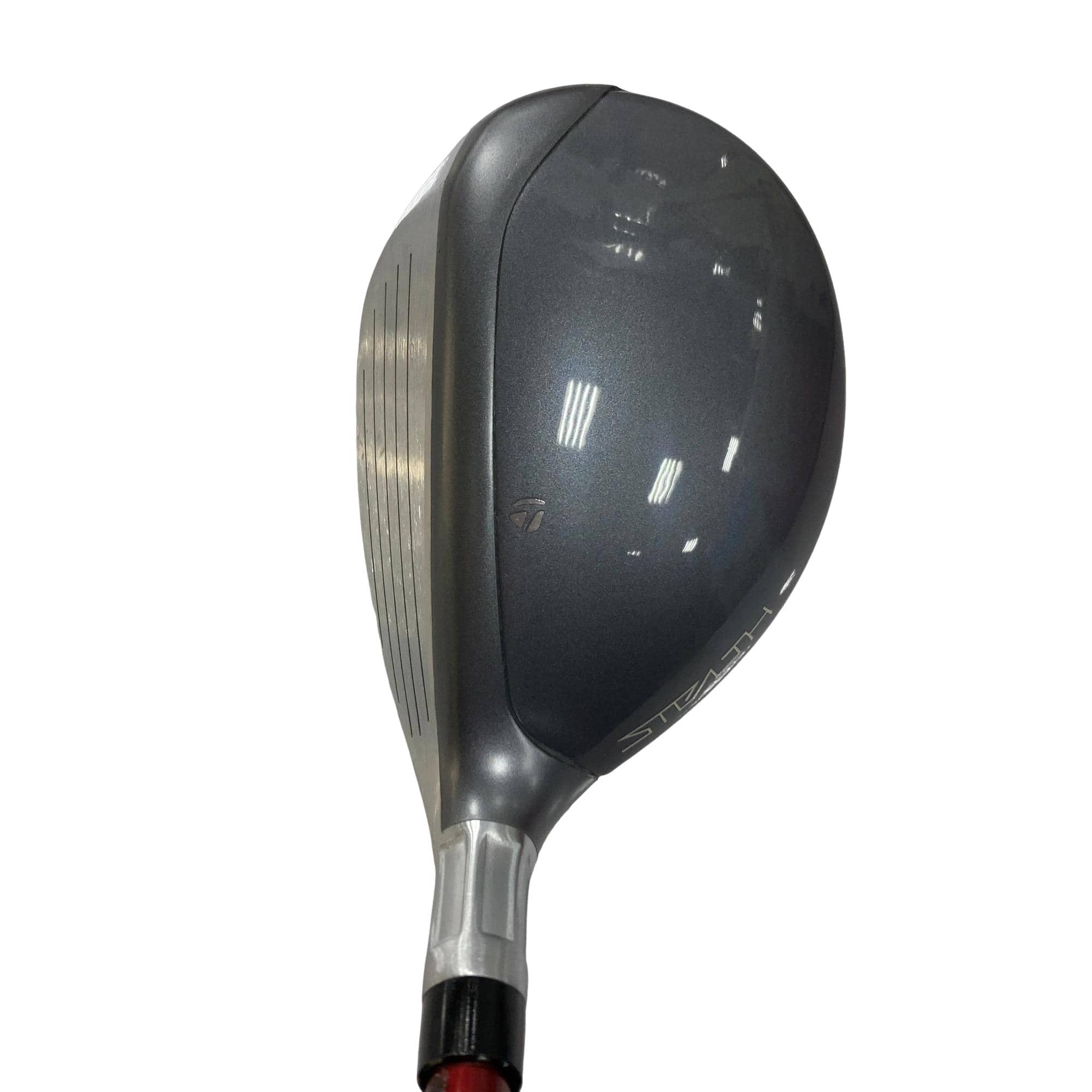 �r�s�d�`�k�s�g�Q�@�g�c�@�t�U�@���f�B�[�X