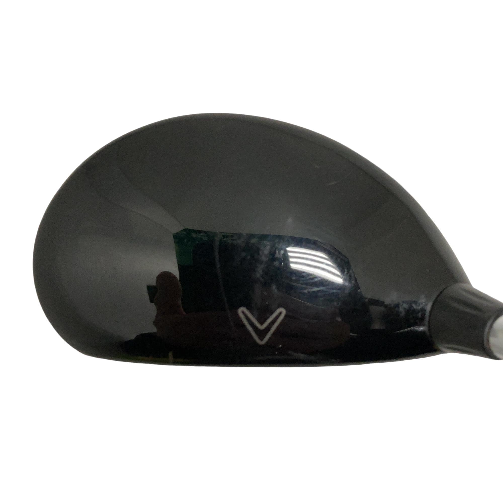 �w�@���[�e�B���e�B�@�Q�g�@�t�r�`