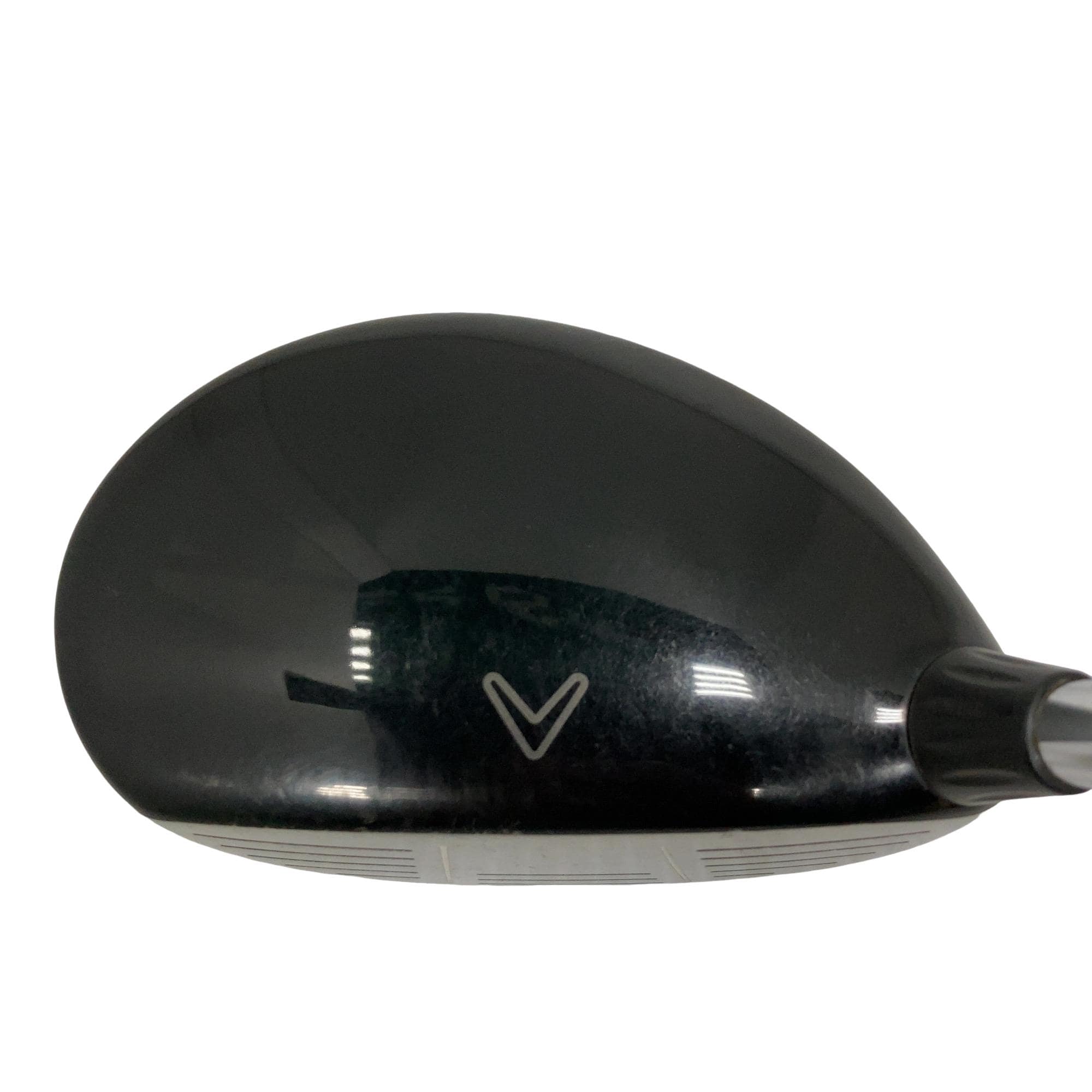 �w�@���[�e�B���e�B�@�R�g�@�t�r�`