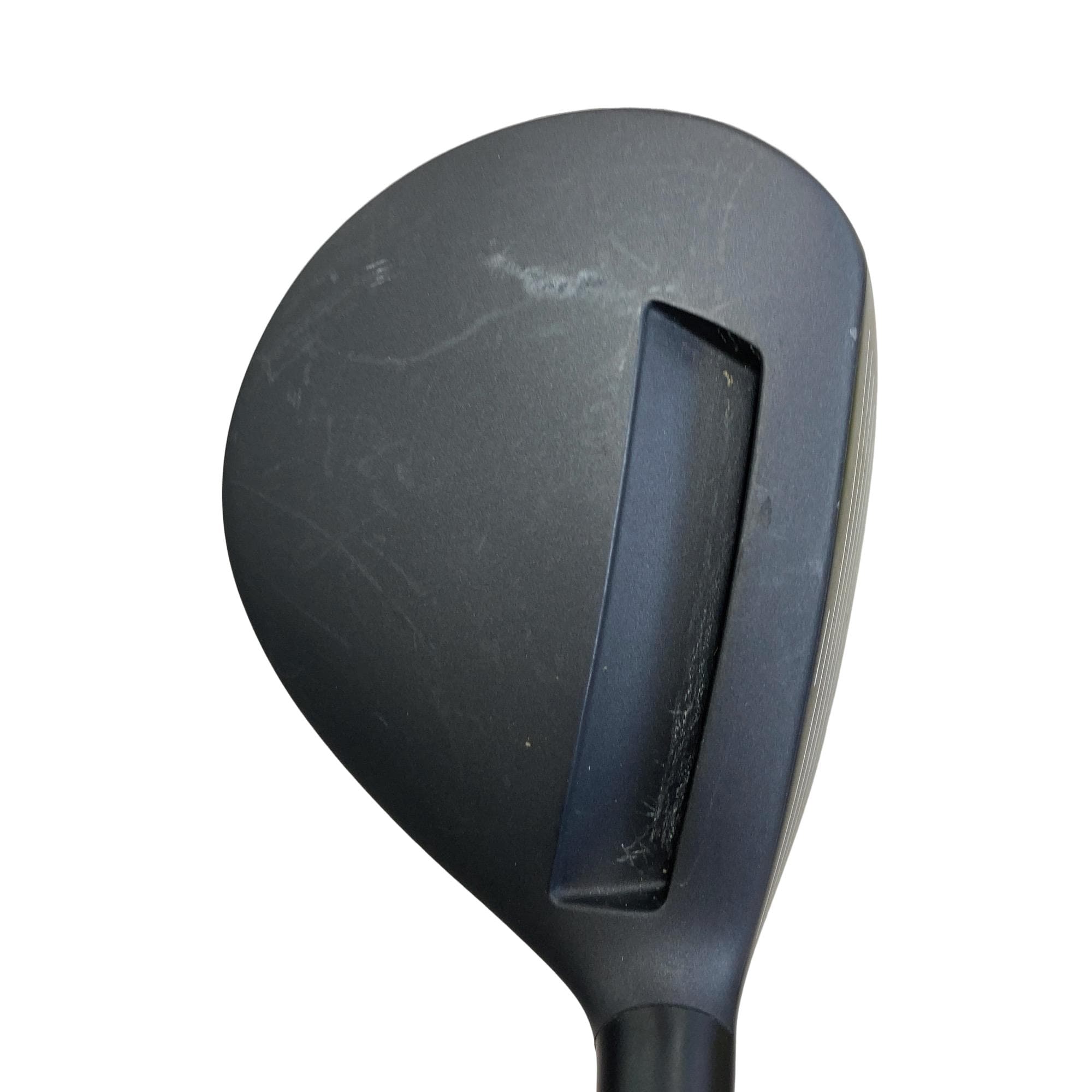 �`���������@�w�s�c�@�����@�P�W°�@���t�e�B