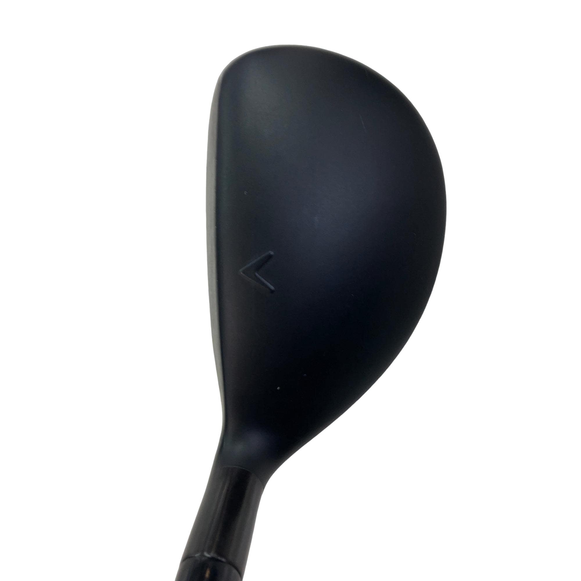 �w�q�@�P�U�@�n�r�@�t�S