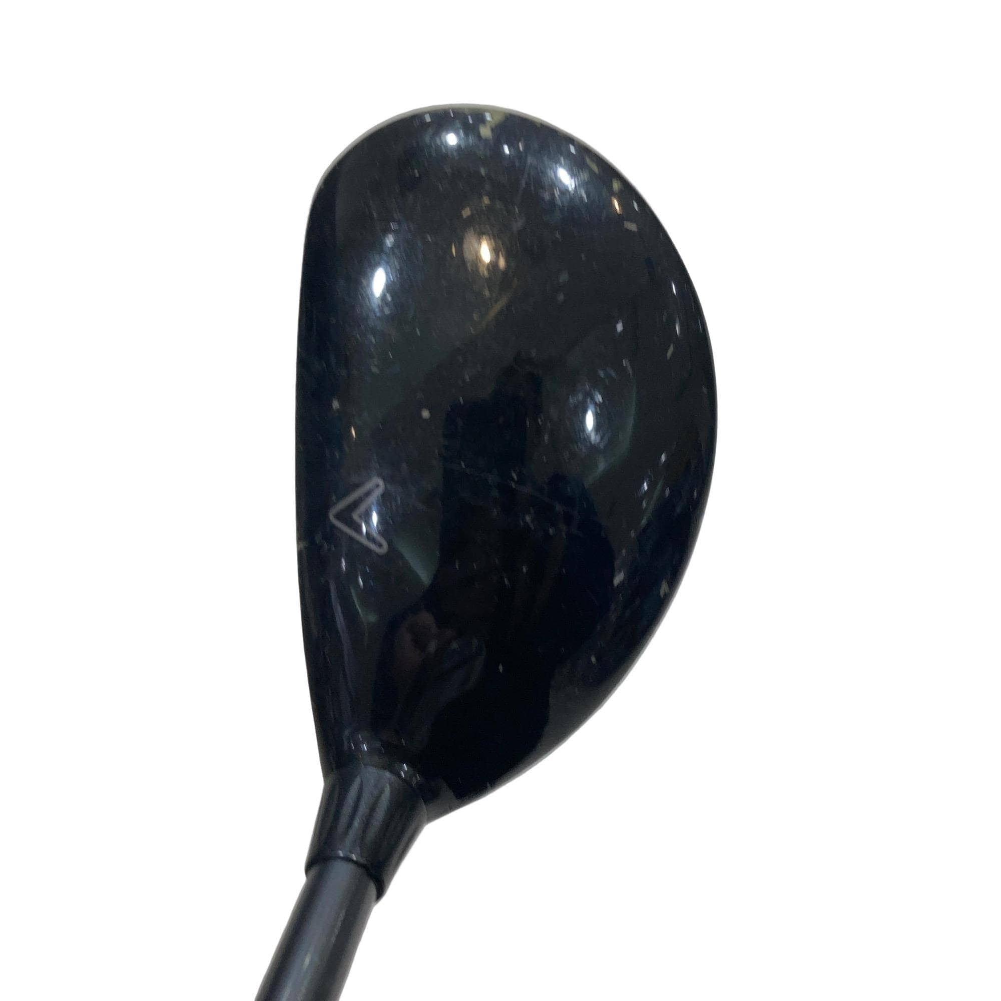 �w�@���[�e�B���e�B�@�Q�g�i�P�W°�j