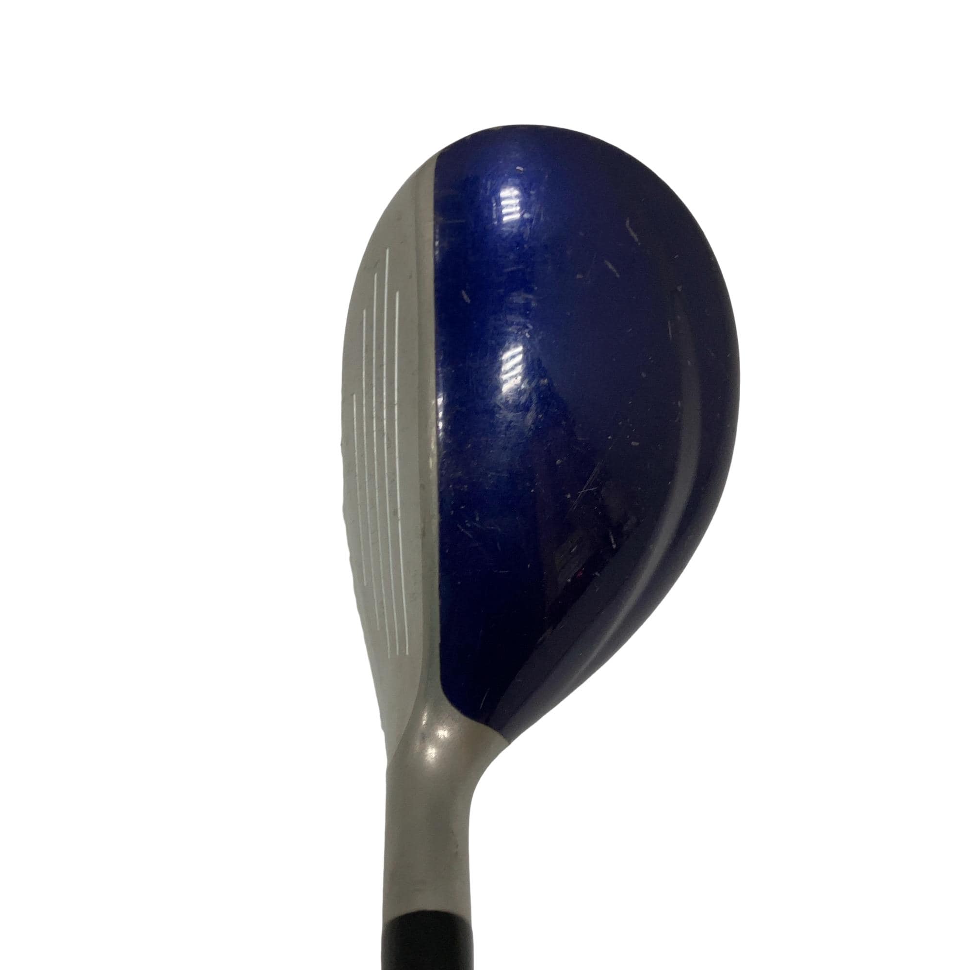 �d�t�q�t�r�i�Q�O�Q�O�j�@�t�T�@���f�B�[�X