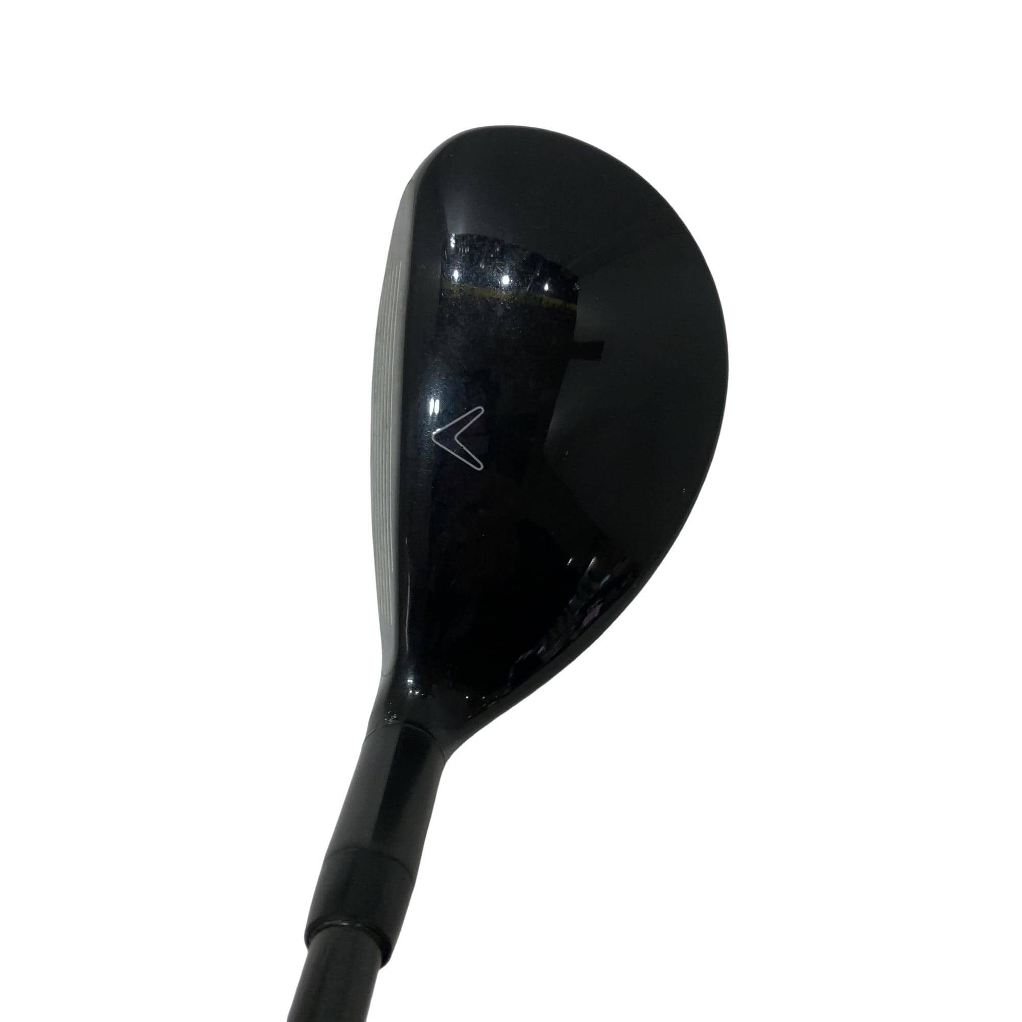 �w�Q�@�g�n�s�@�t�S