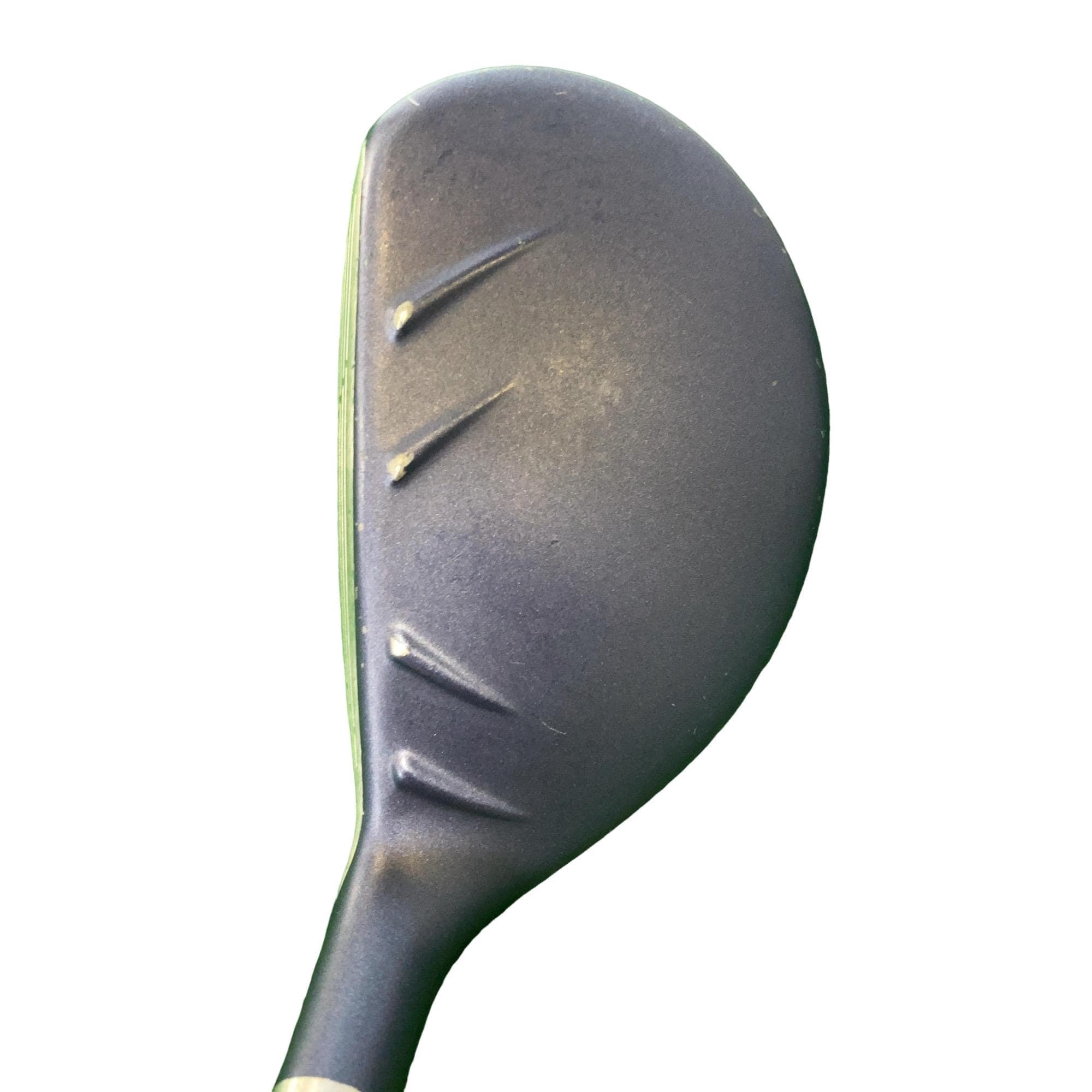 �f�@�k���Q�@�t�T�@���f�B�[�X