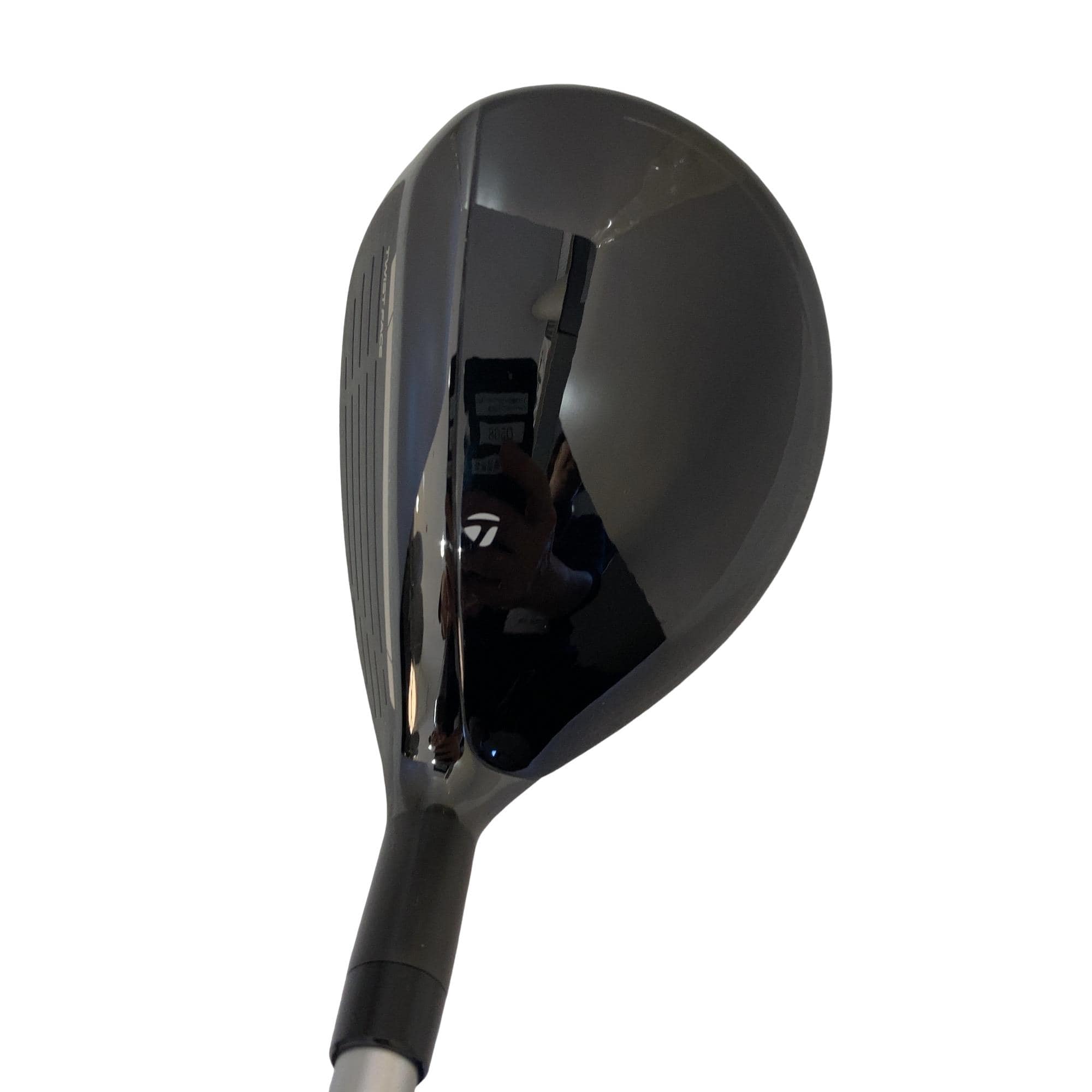 �p���P�O�@�l�`�w�@�t�U�@���f�B�[�X