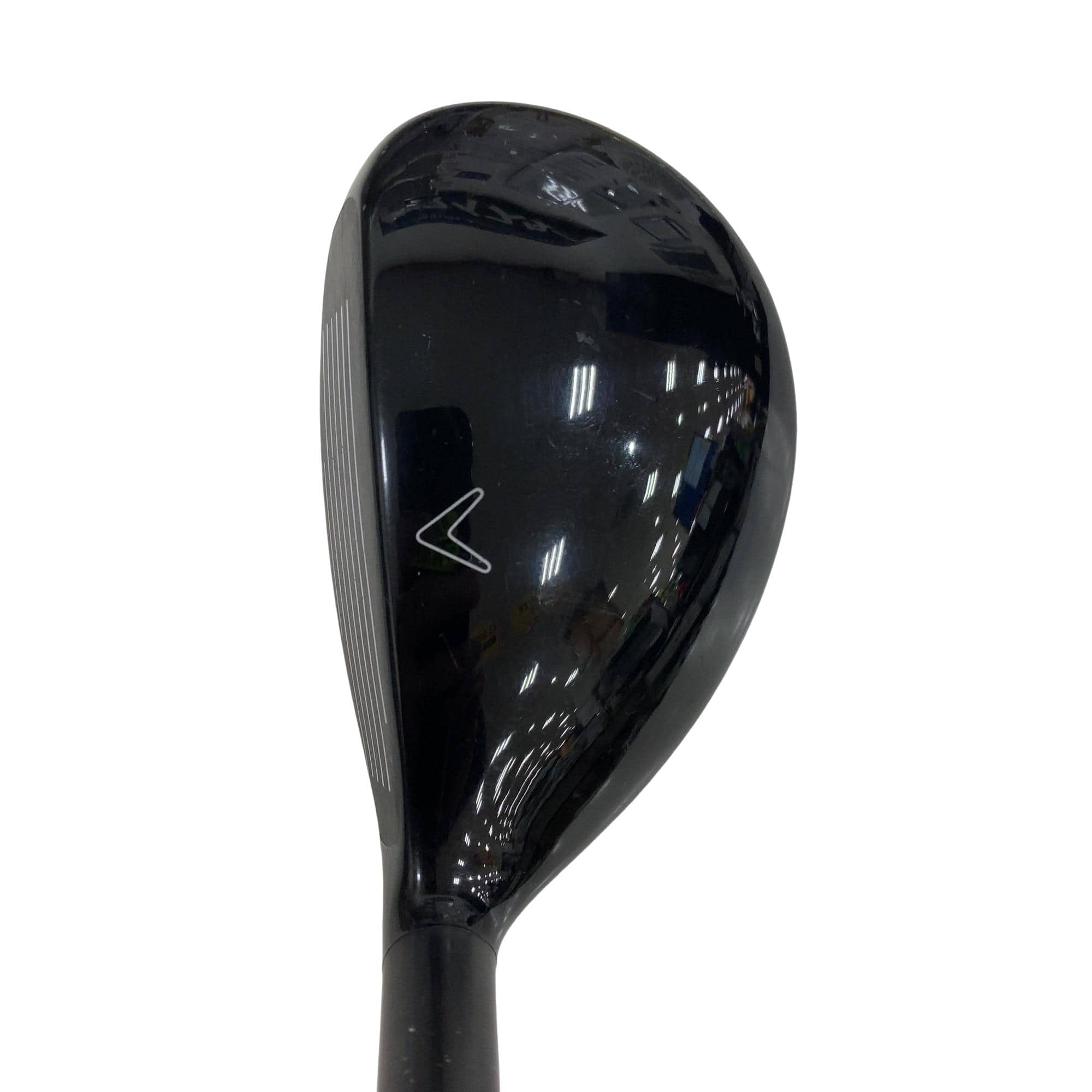 �w�Q�@�g�n�s�@�t�R