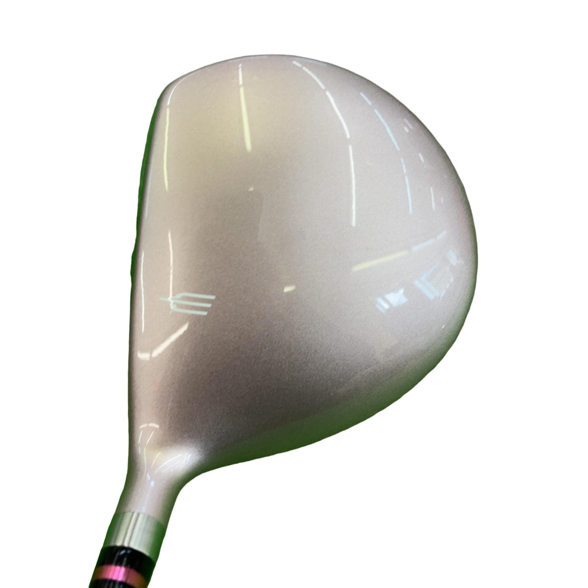 �d�t�q�t�r�@�T�v�@���f�B�[�X