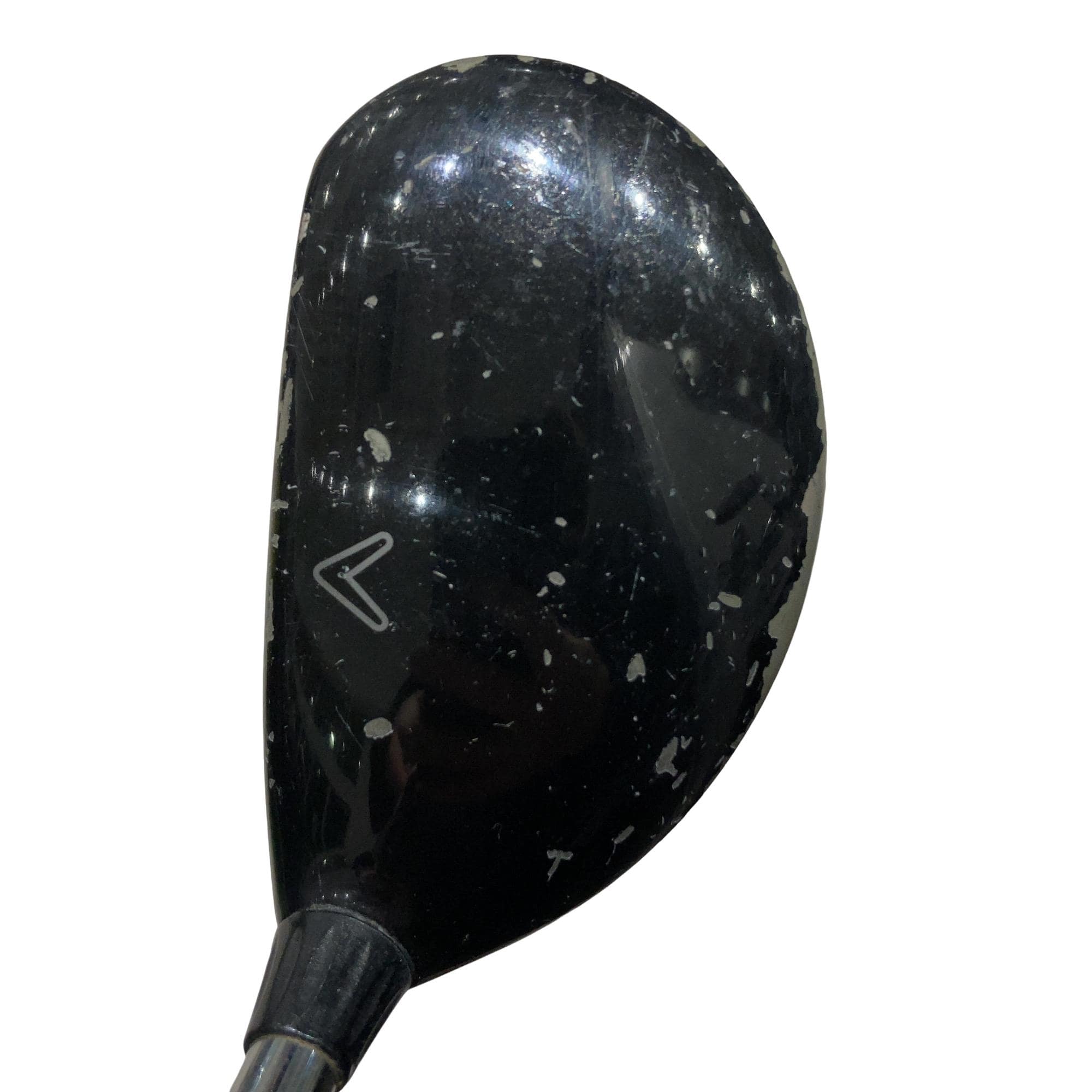 �w�@���[�e�B���e�B�@�R�g�i�Q�P°�j