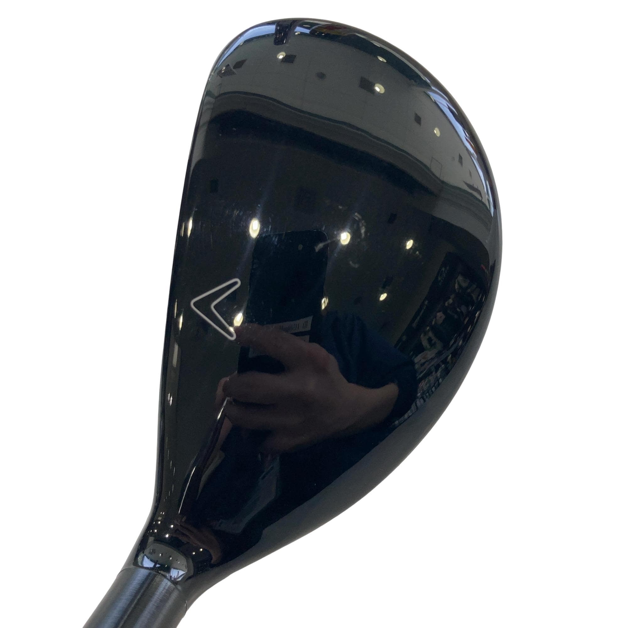 �w�Q�@�g�n�s�@�t�S