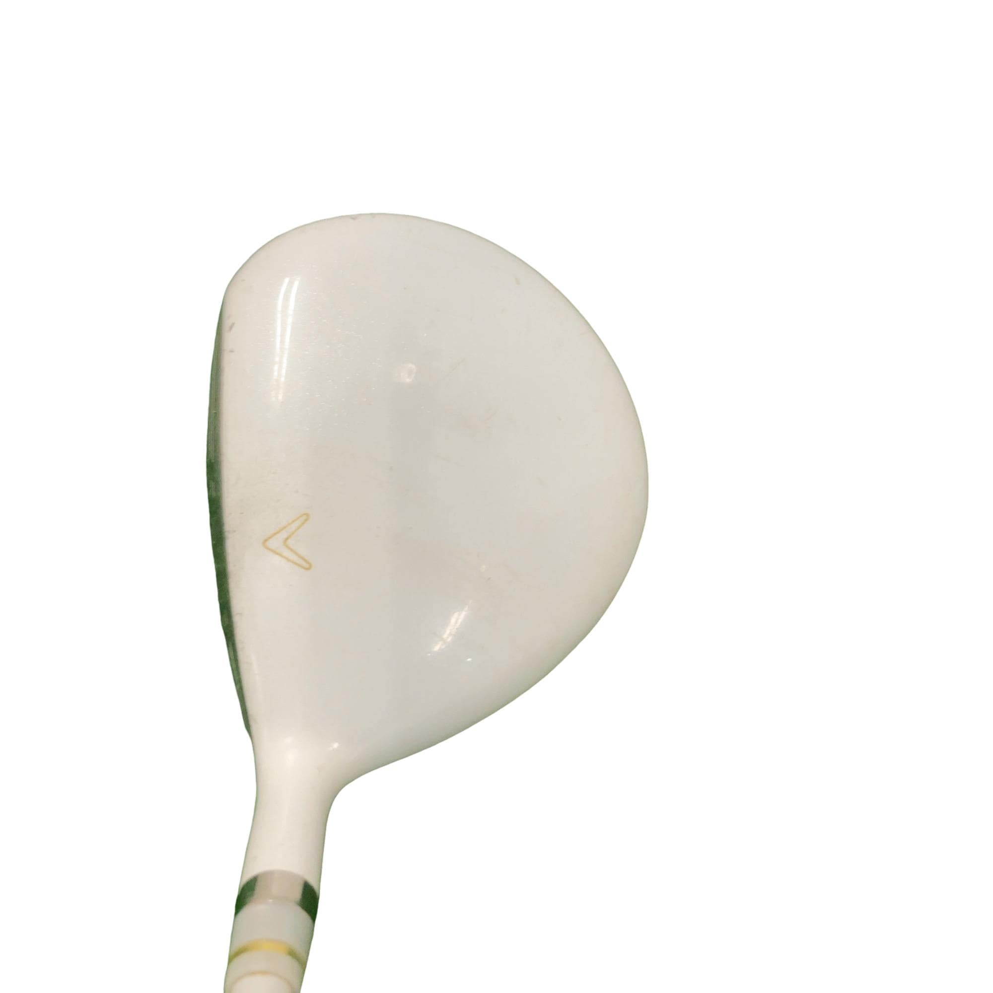 �����������i�Q�O�P�T�j�@�S�v�@���f�B�[�X