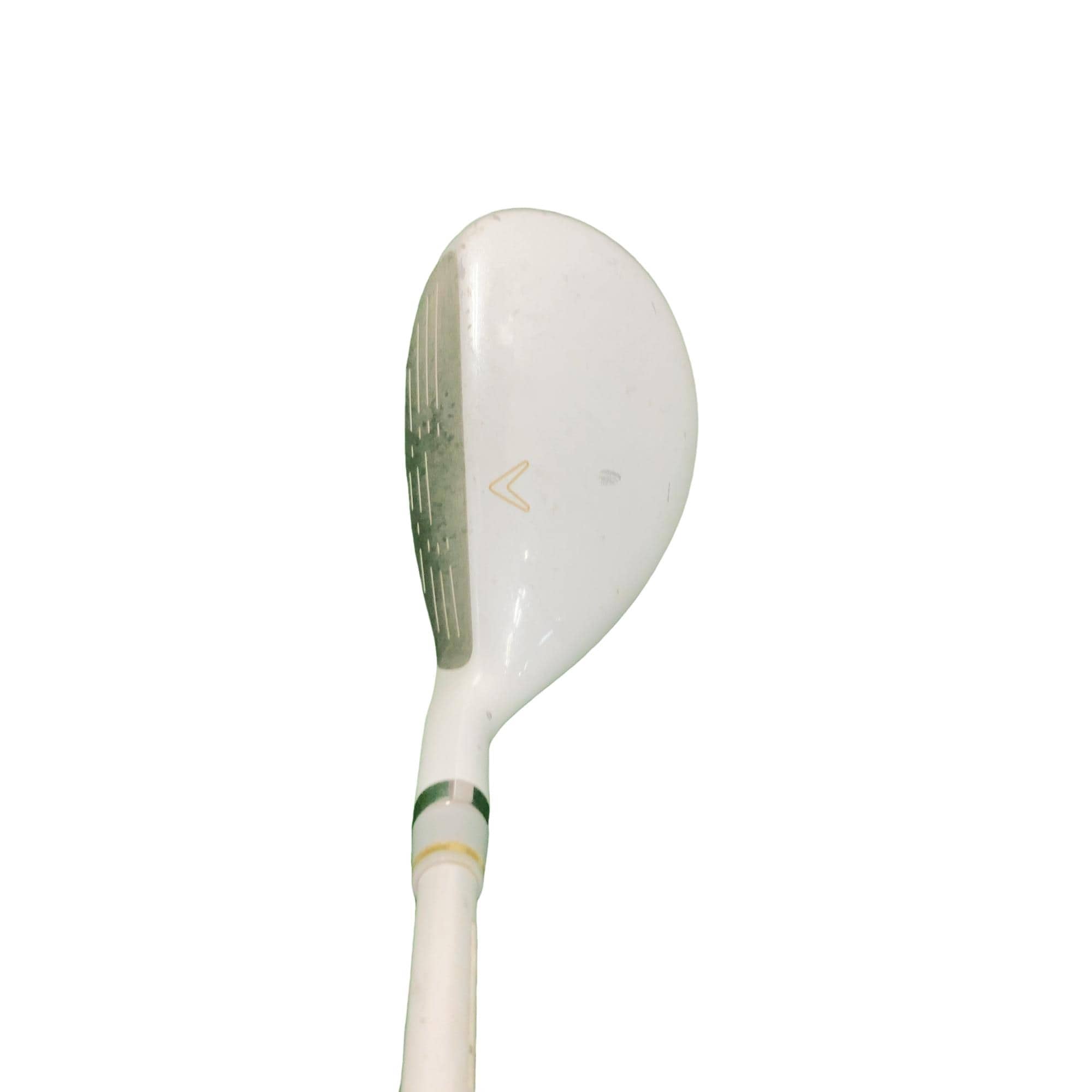 �����������i�Q�O�P�T�j�@�U�g�@���f�B�[�X