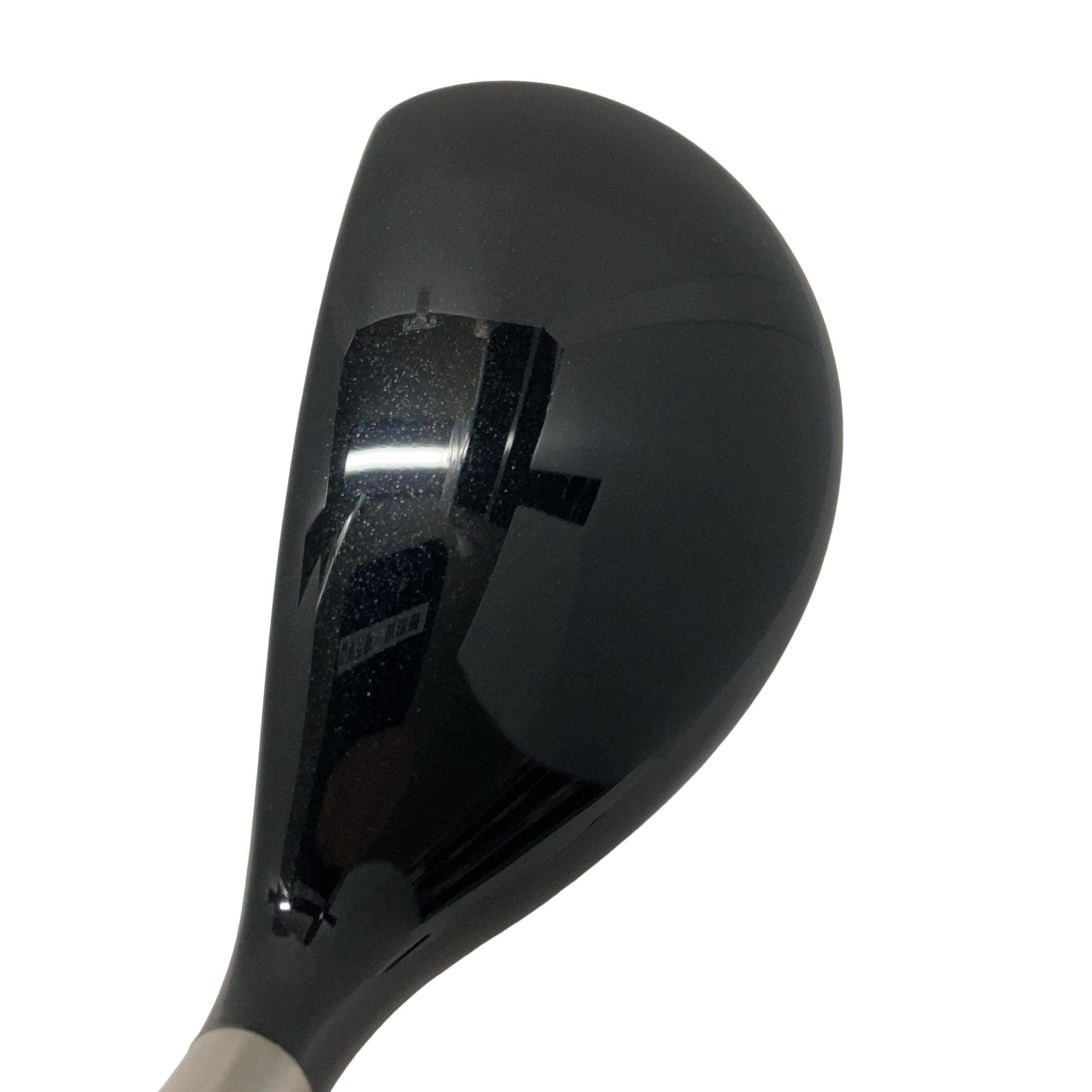 �f�h�m�m�h�b�n�@�t�s�h�k�h�s�x�@�t�R