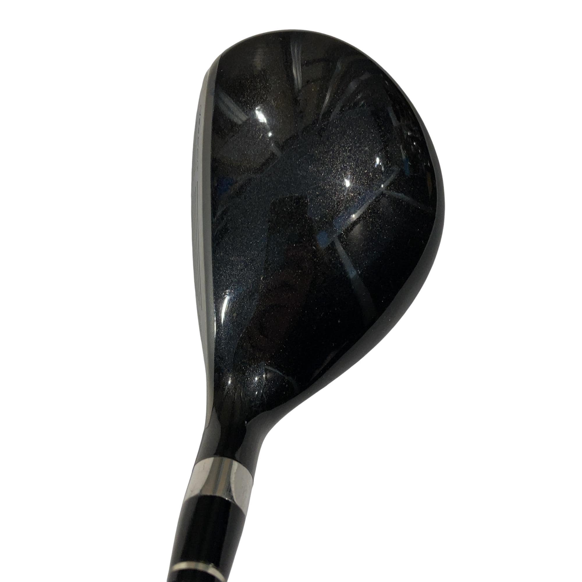 �u�q�Q�r�@���[�e�B���e�B�@�t�S