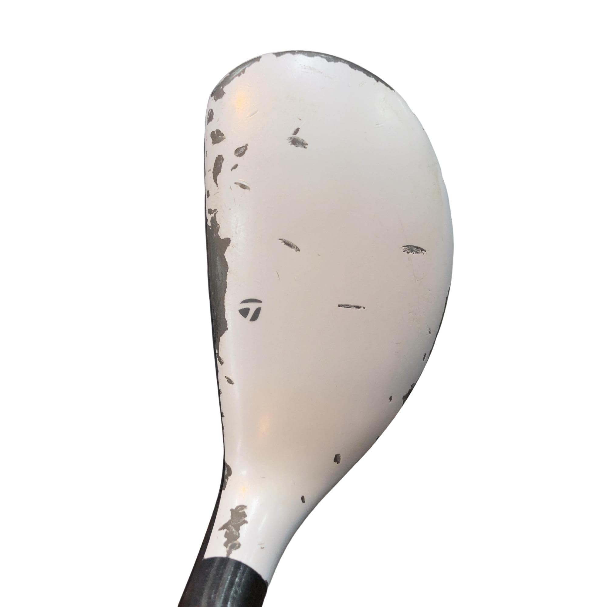 �q�P�T�@�t�S