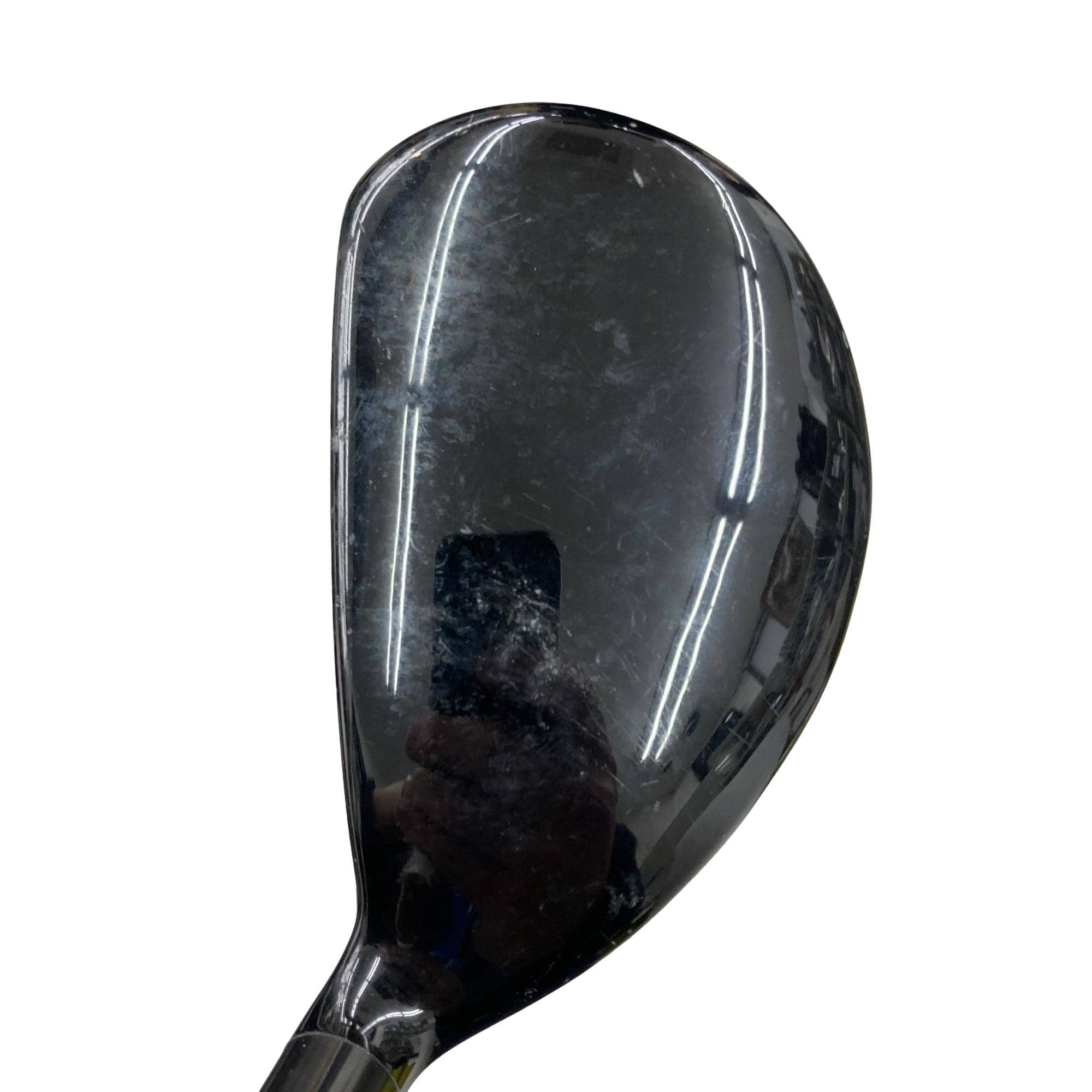 �w�@�g�n�s�@�t�T