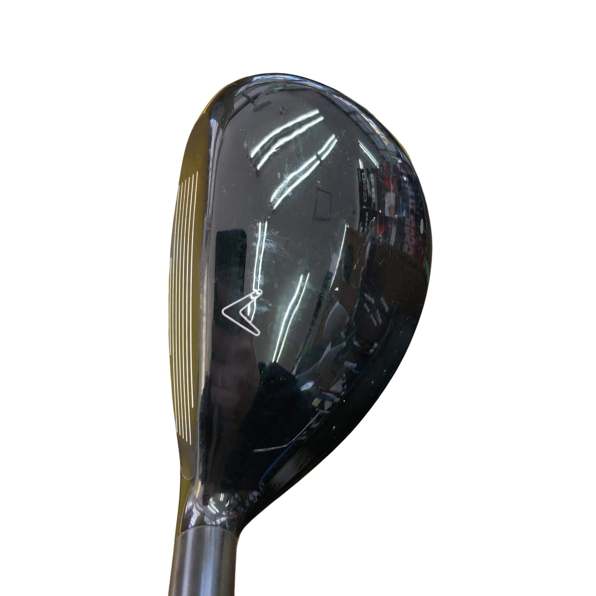 �w�Q�@�g�n�s�@�t�R