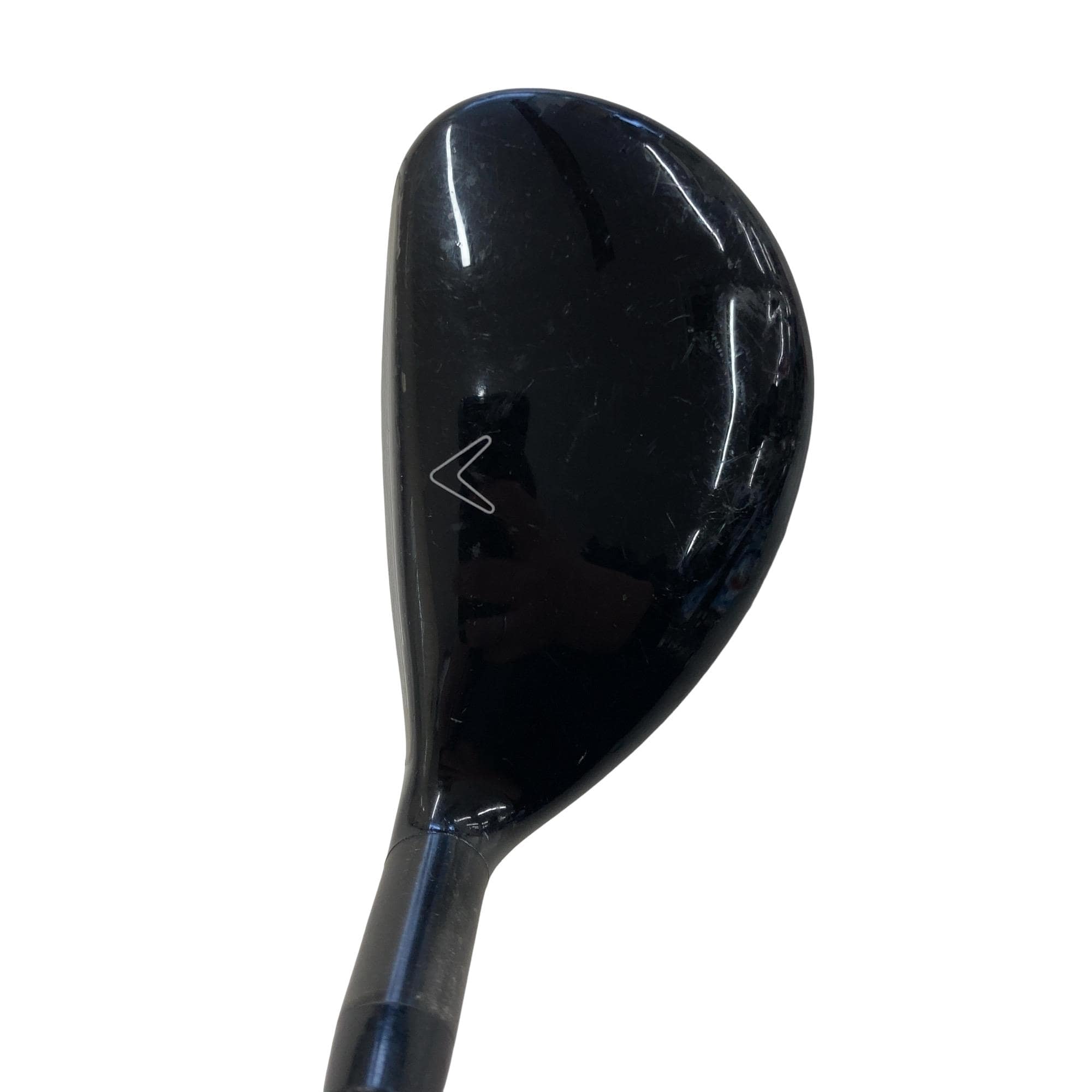 �w�Q�@�g�n�s�@�t�R