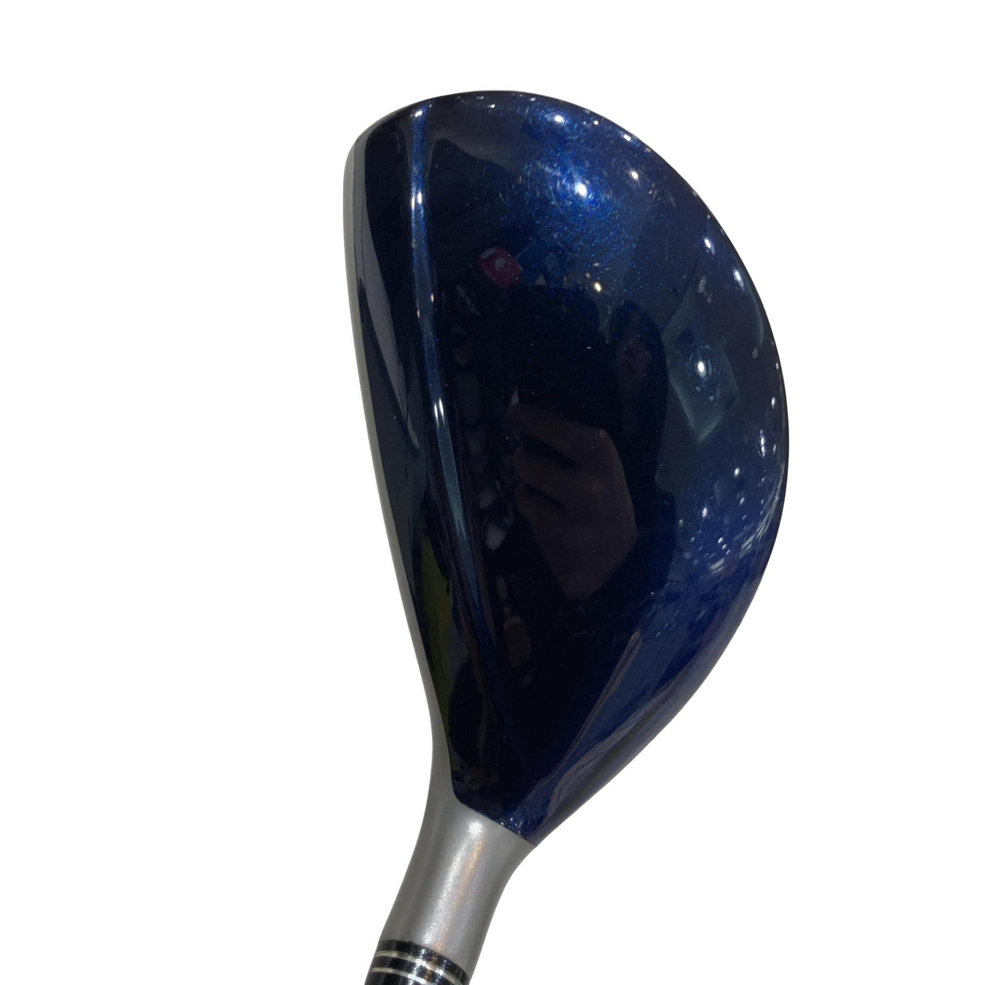 �w�w�h�n�i�Q�O�P�U�j�@�t�U�@���f�B�[�X