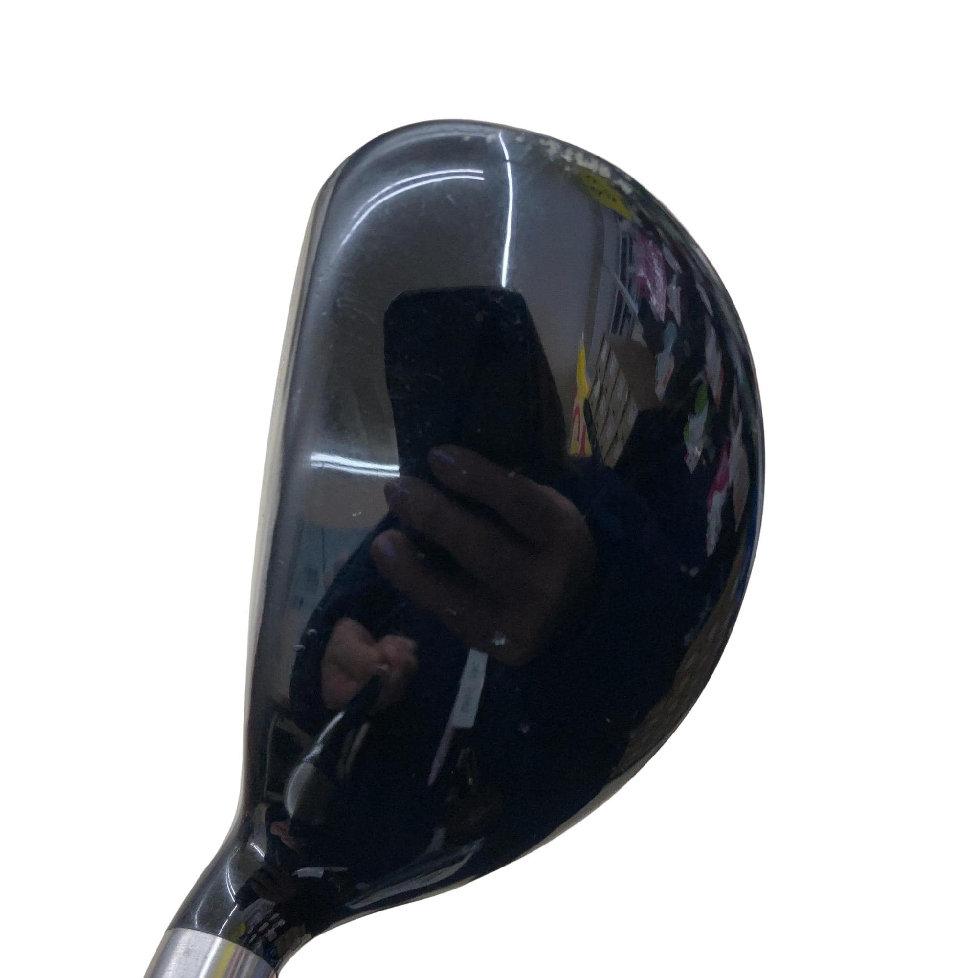 �e�s�@���[�e�B���e�B�@�c�q�`�v�@�S�g