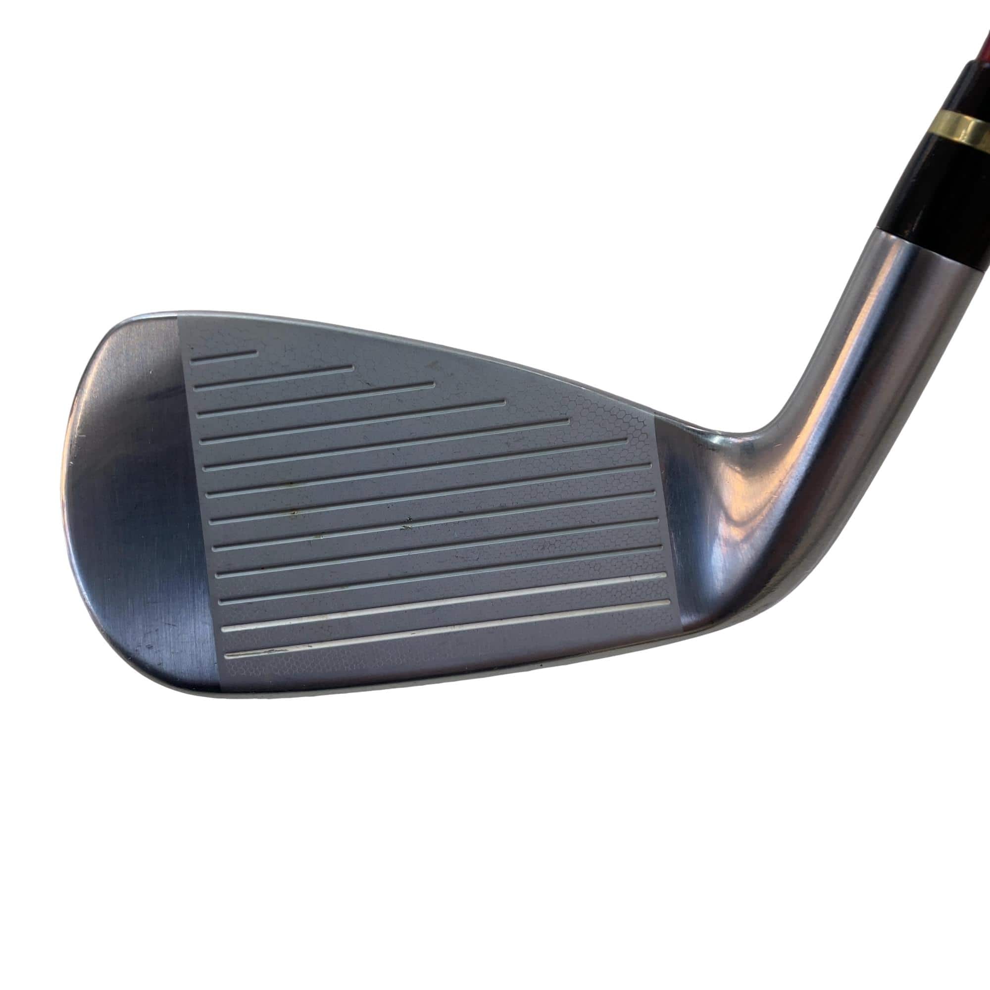 �������������@�q�l�w�@�t�c�{�Q�@���T