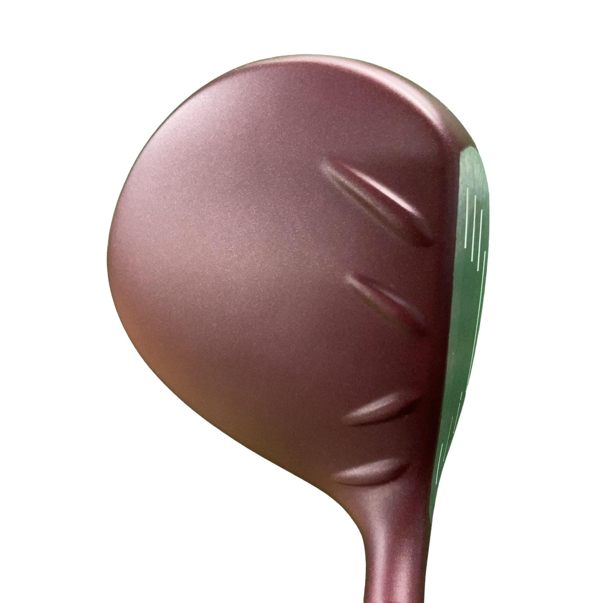 �f�@�k���Q�@�R�v�@���f�B�[�X�@���t�e�B