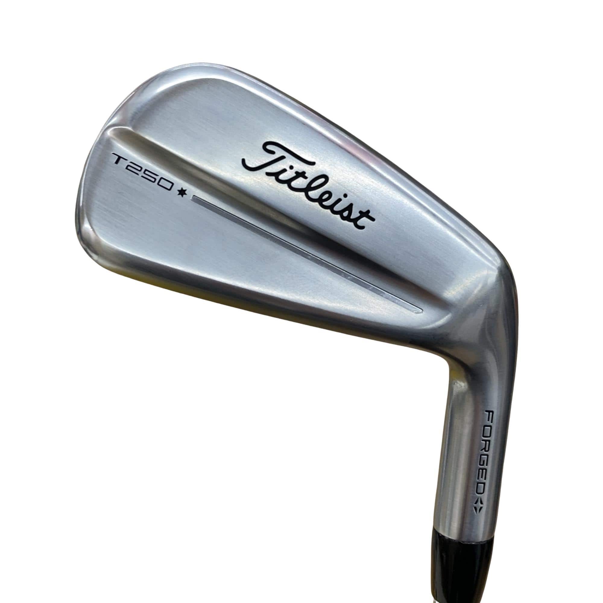 �s���������������@�s�Q�T�O�i�Q�O�Q�T�j�@�@�U�r�i���{���F�T�{�Z�b�g�j