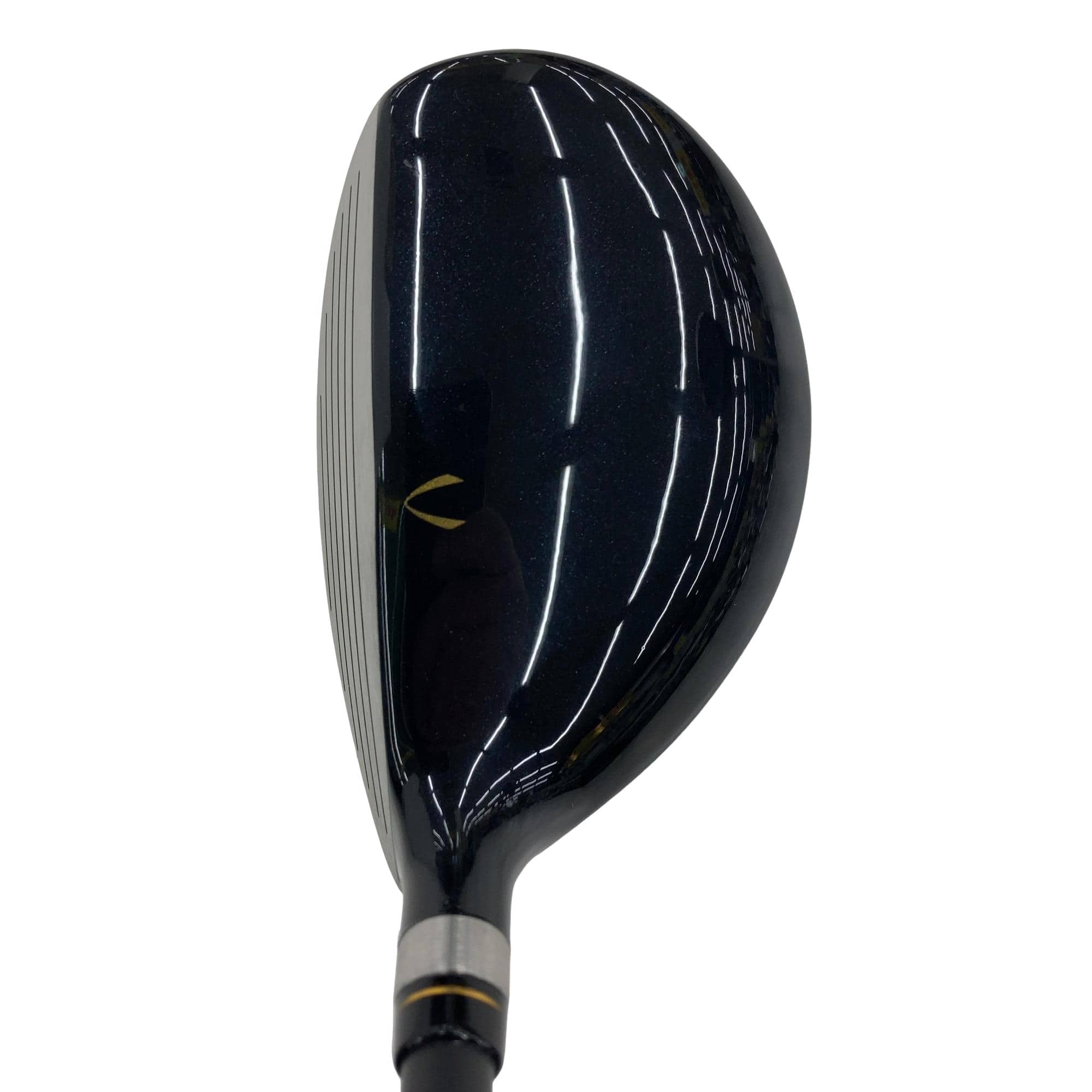 �j�Q�j�@���������O�X���[�e�B���e�B�@�t�T