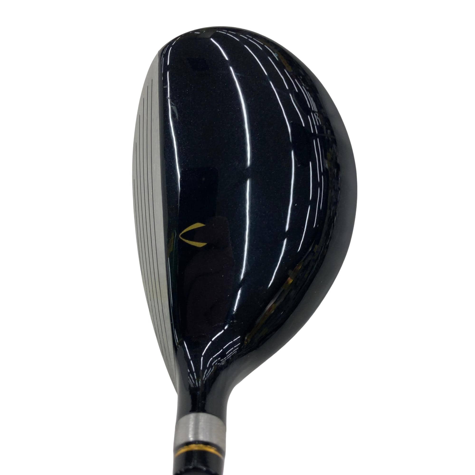 �j�Q�j�@���������O�X���[�e�B���e�B�@�t�U