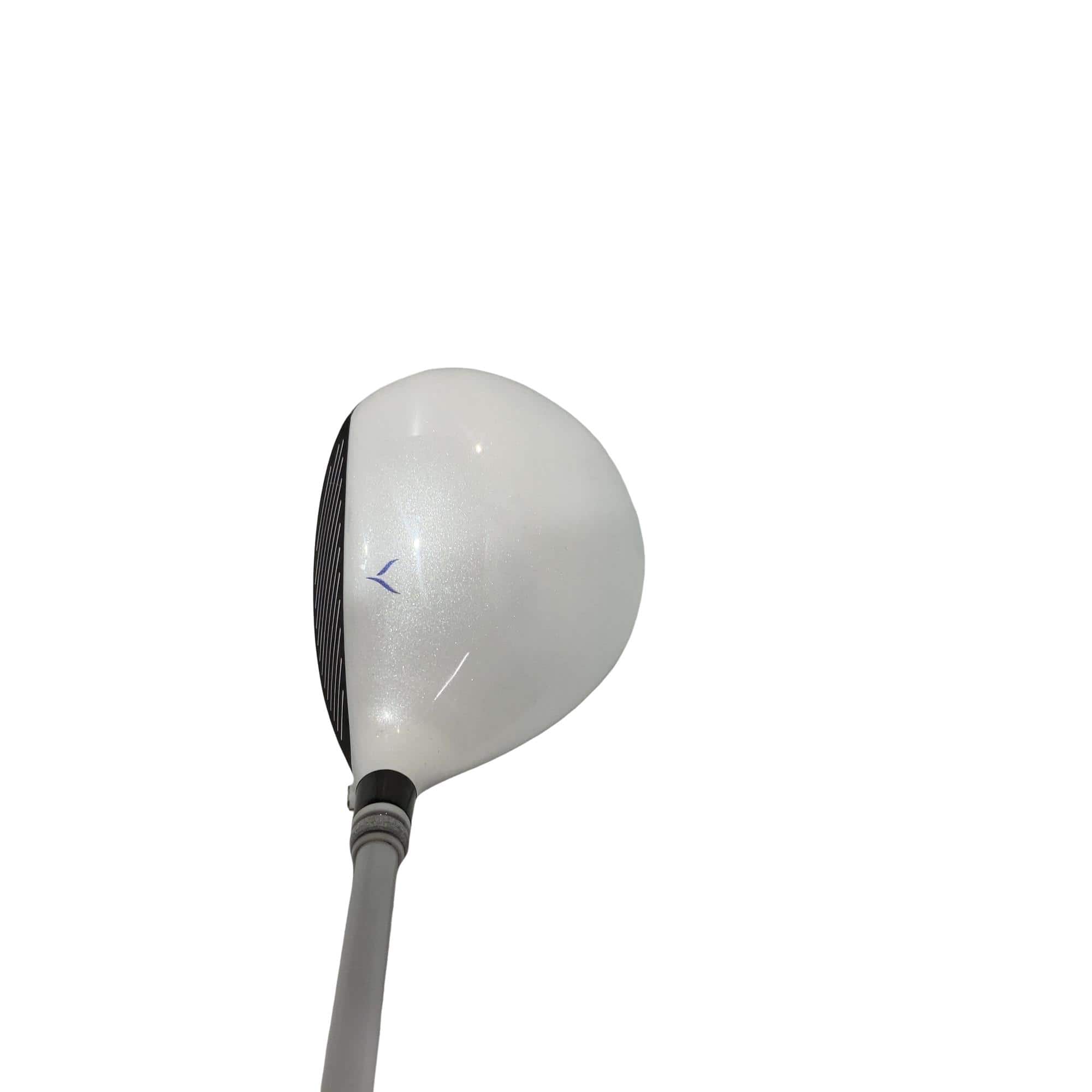 �x�n�m�d�w�@�e���������i�Q�O�Q�O�j�@�T�v