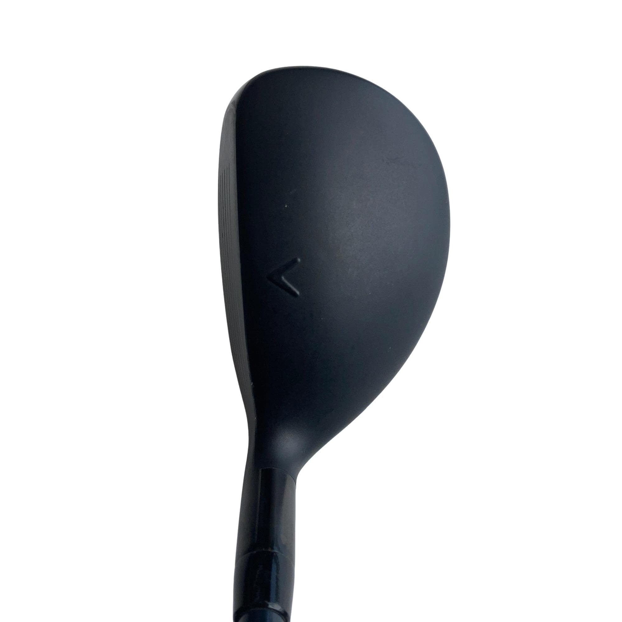 �w�q�@�P�U�@�n�r�@�t�R