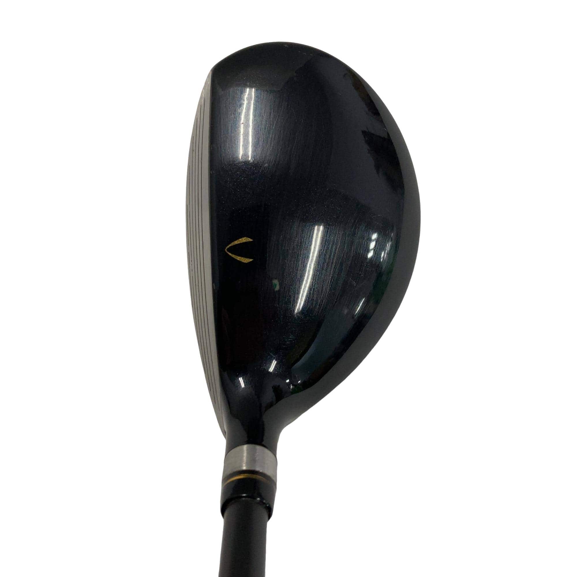 �j�Q�j�@���������O�X���[�e�B���e�B�@�t�T