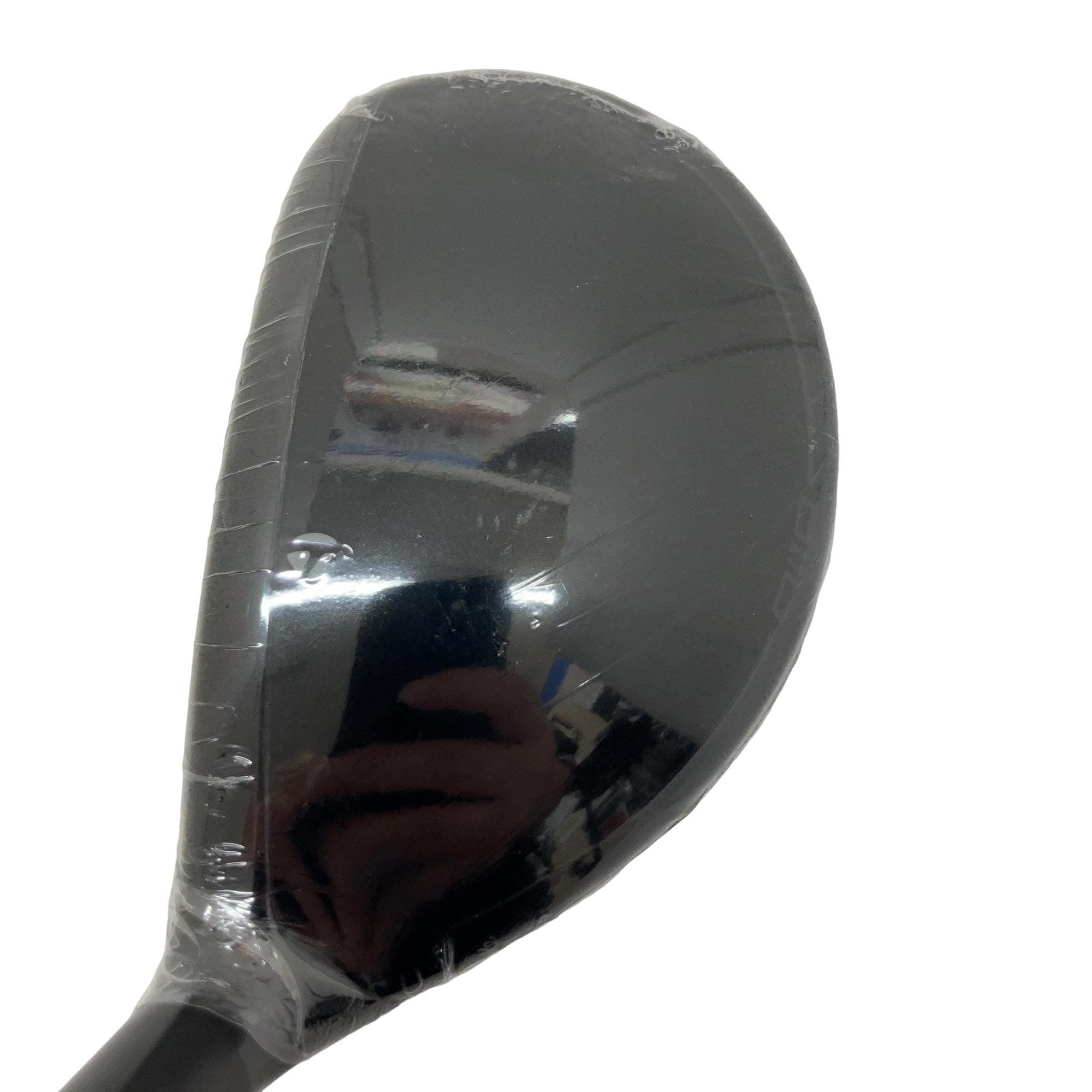 �p���P�O�@�l�`�w�@�t�U�@���f�B�[�X