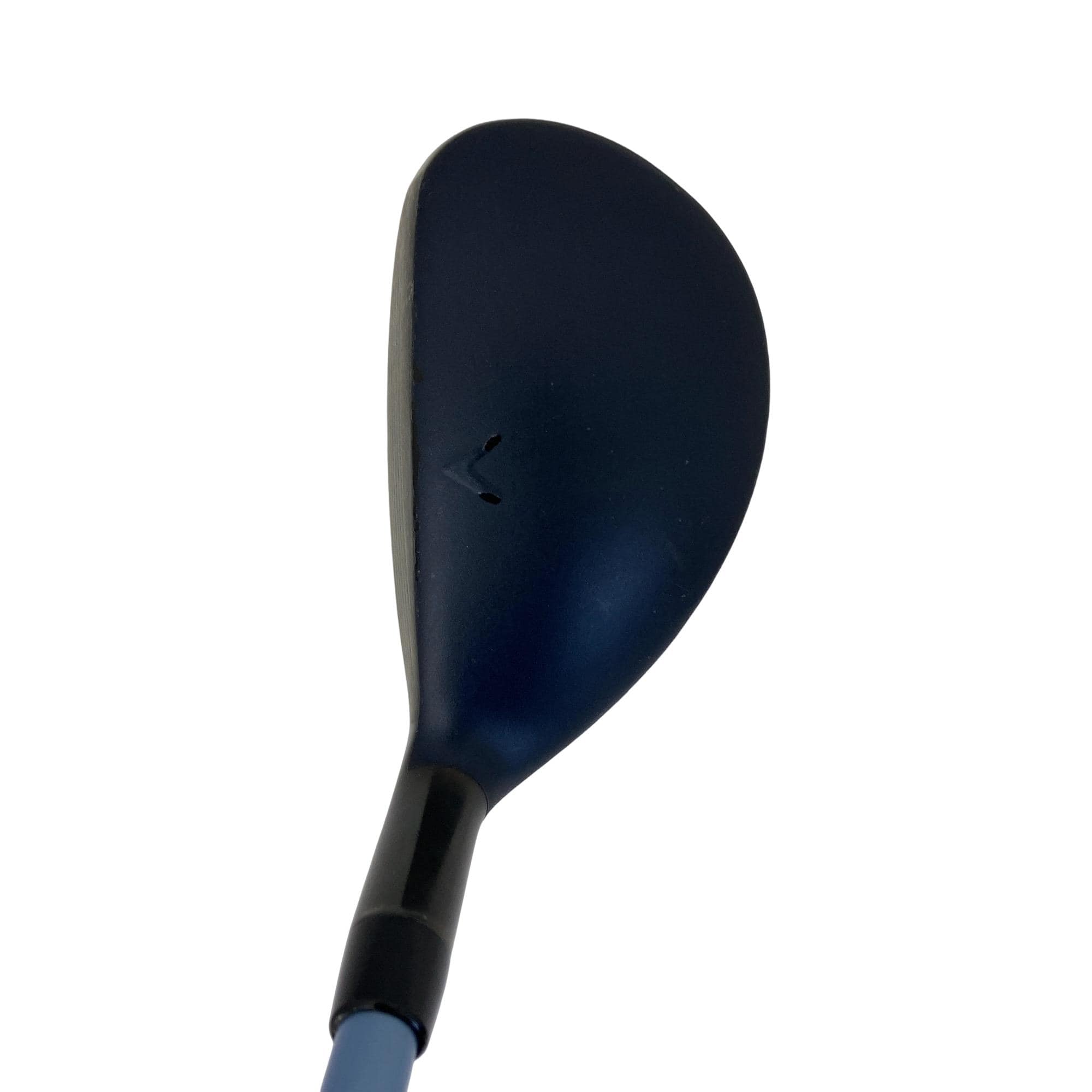 �w�q�@�t�S�@���f�B�[�X