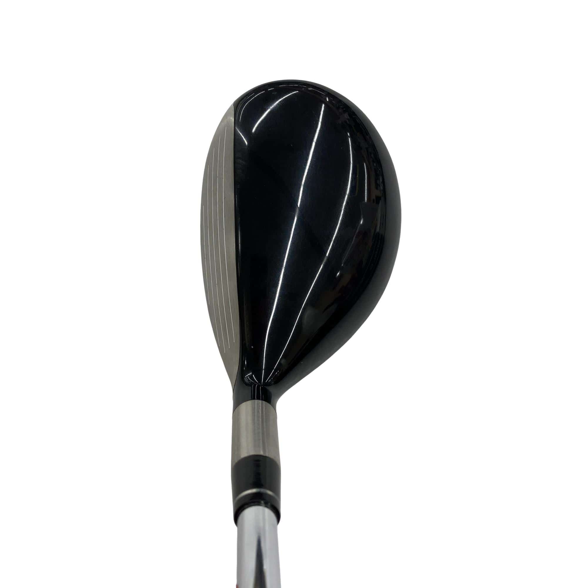 �s�n�t�q�@�v�n�q�k�c�@�s�v�V�R�V�@�Q�T°