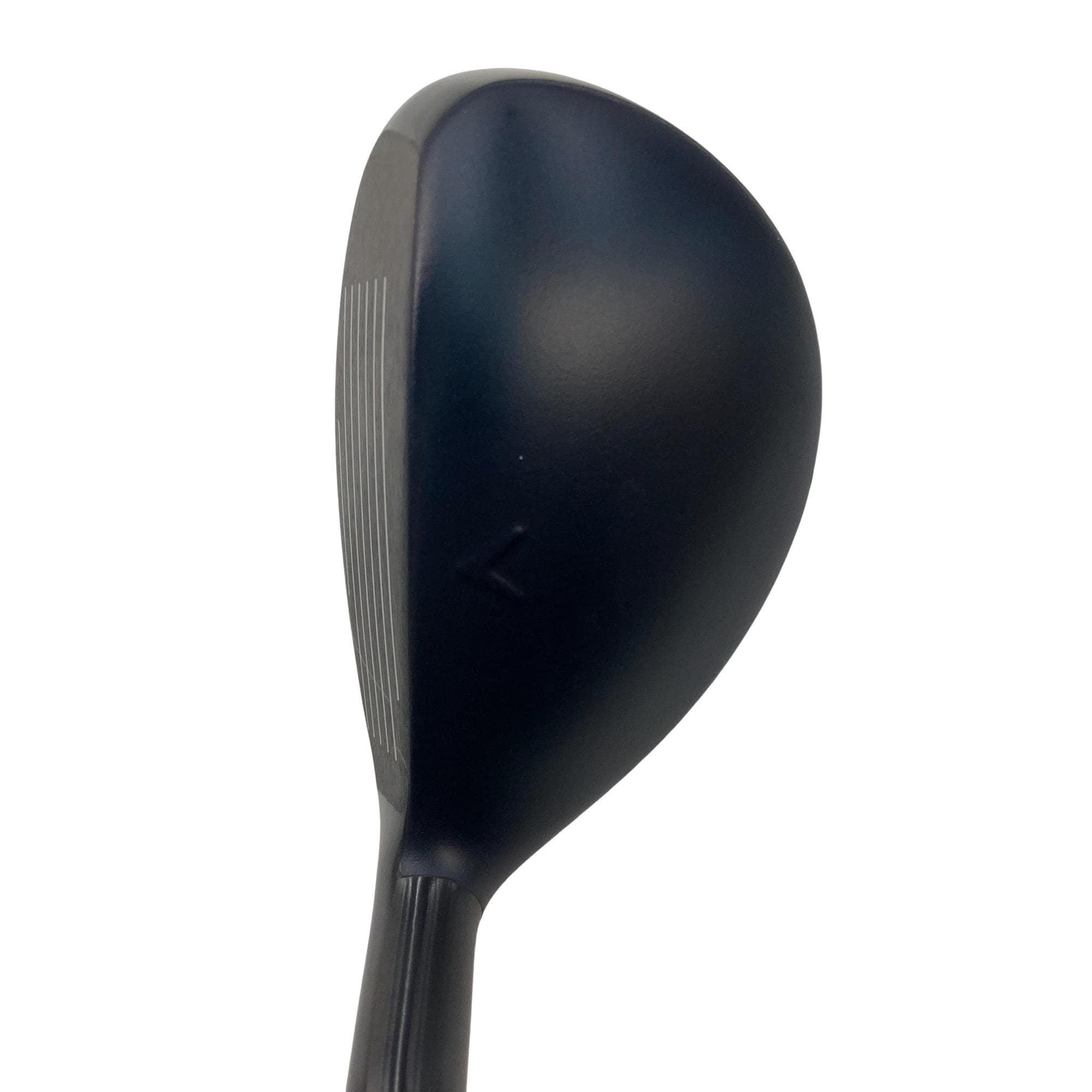 �w�q�@�t�T�@���f�B�[�X