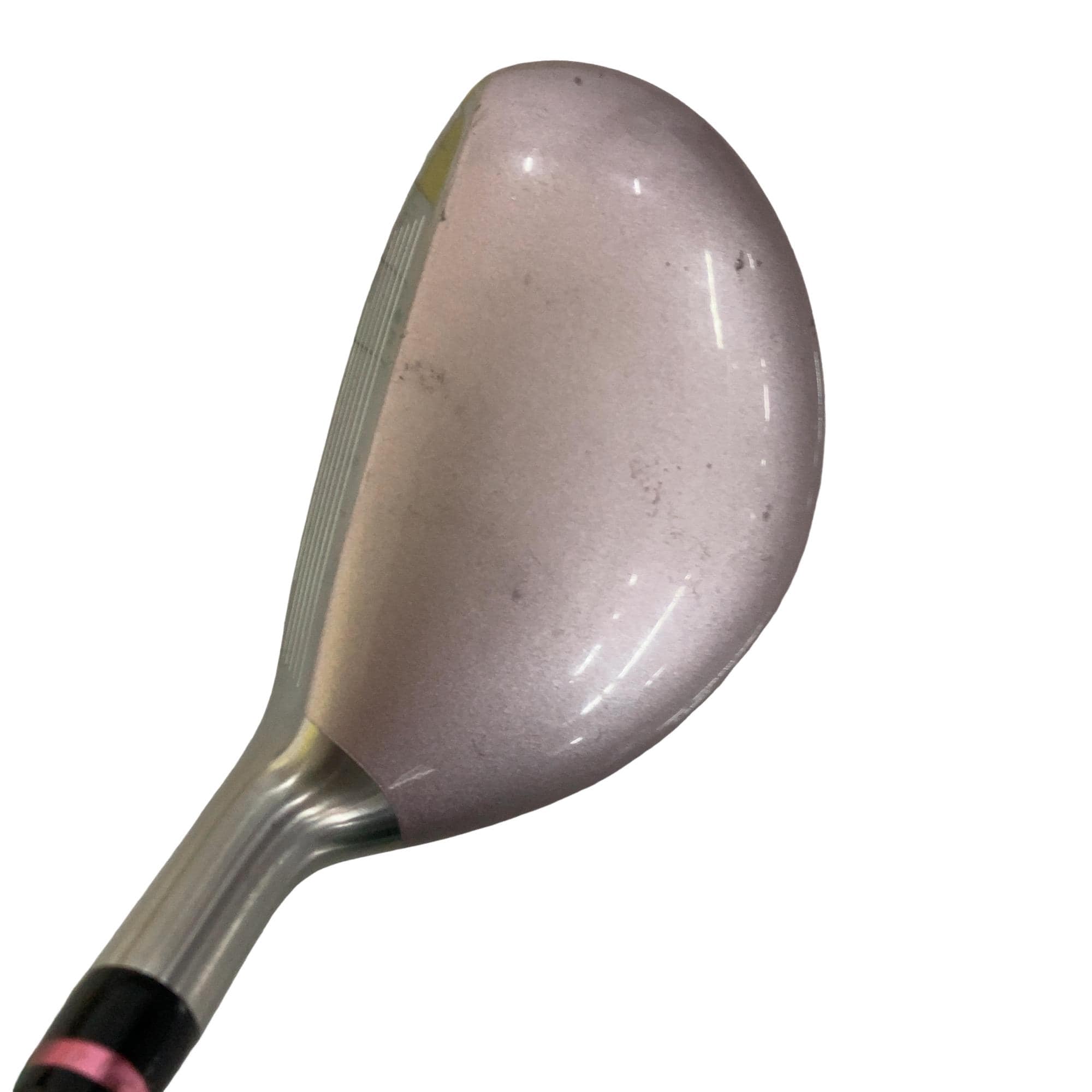 �d�t�q�t�r�@�t�T�^�U�@���f�B�[�X