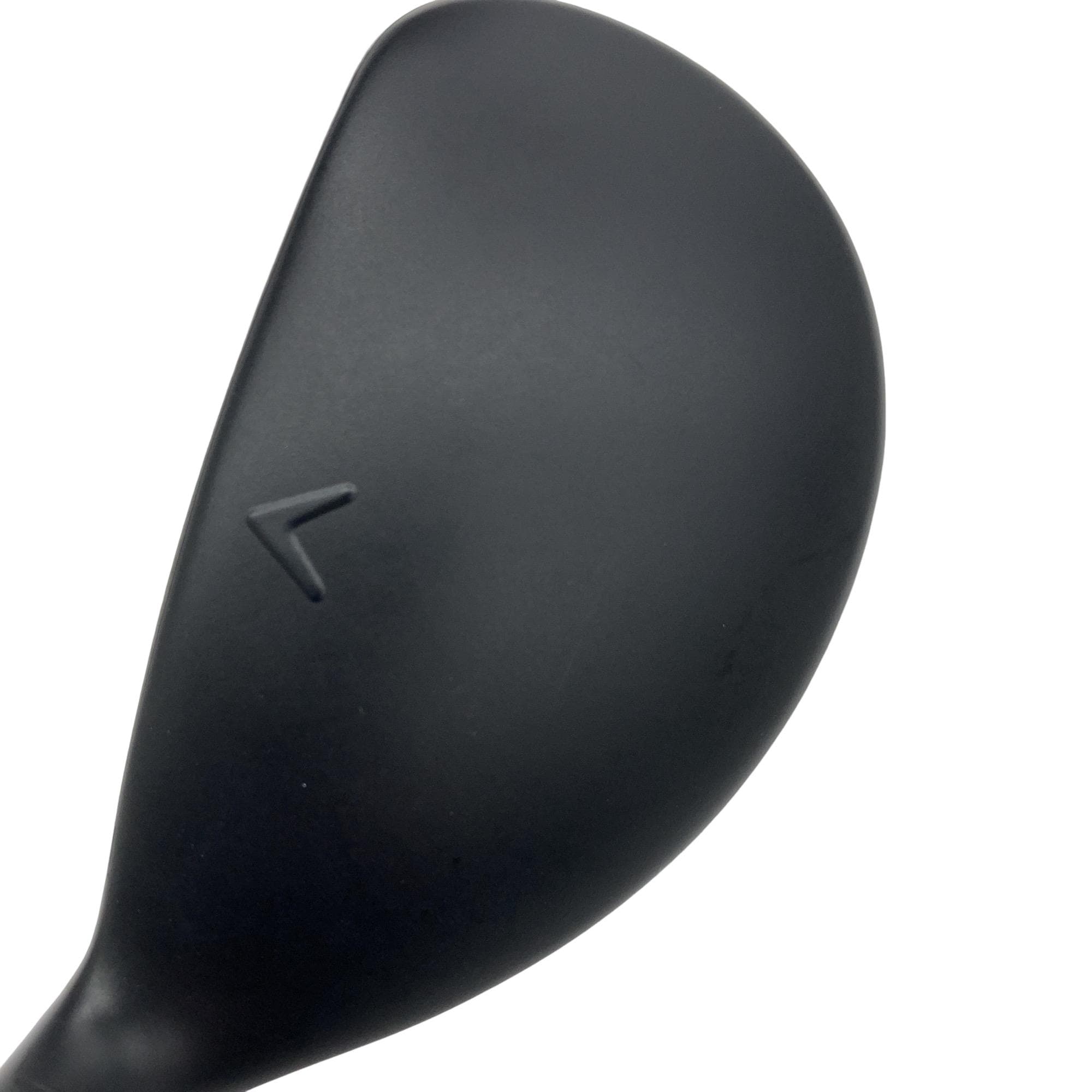 �w�q�@�P�U�@�n�r�@�t�R