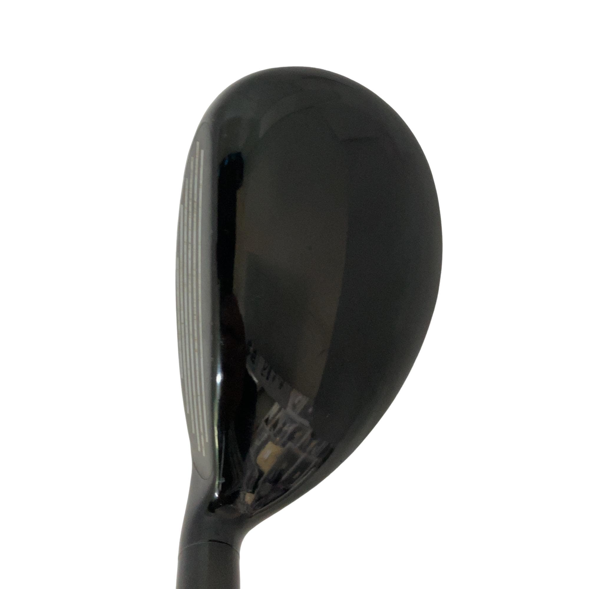 �w�@�g�n�s�@�t�R