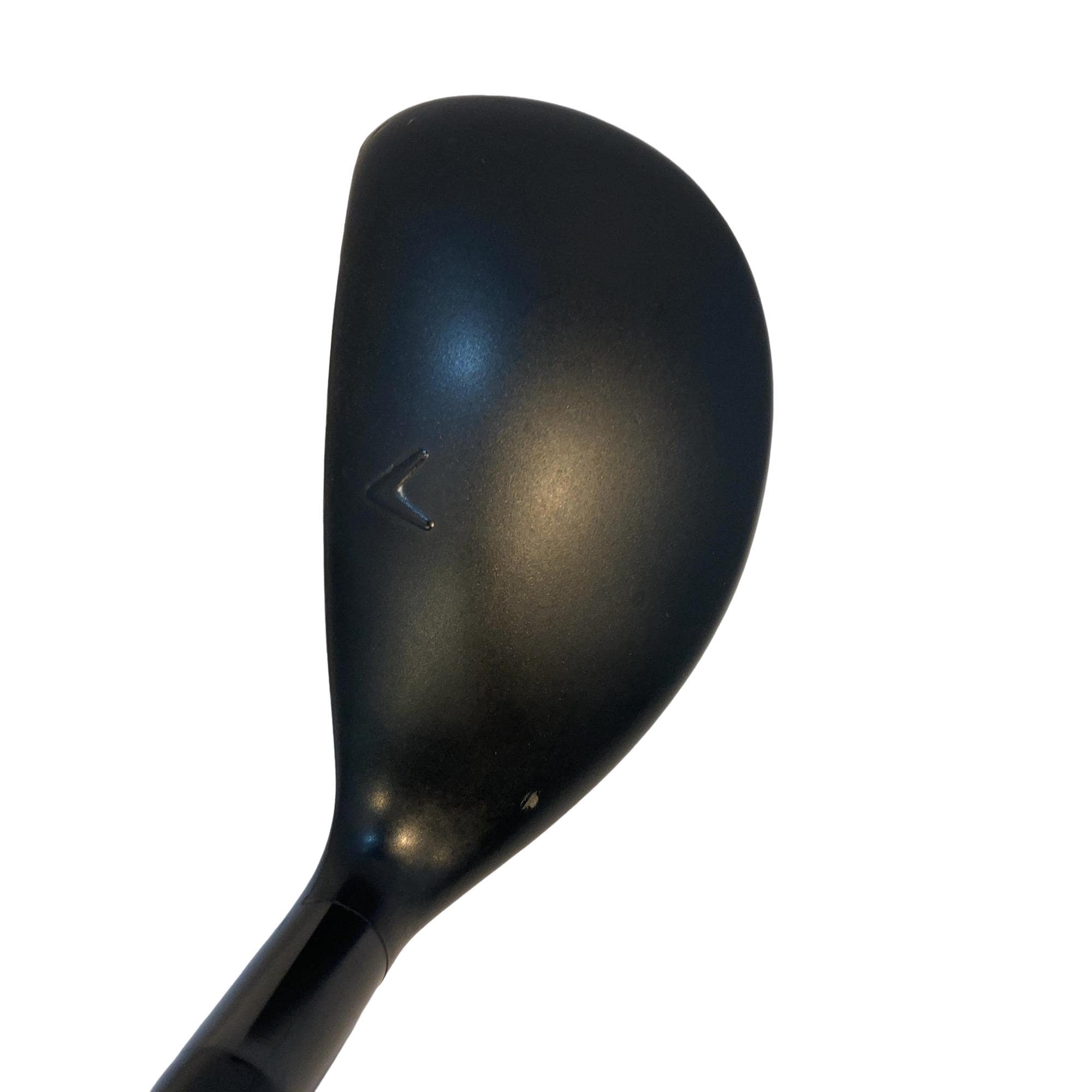 �w�q�@�P�U�@�n�r�@�t�T�@���f�B�[�X